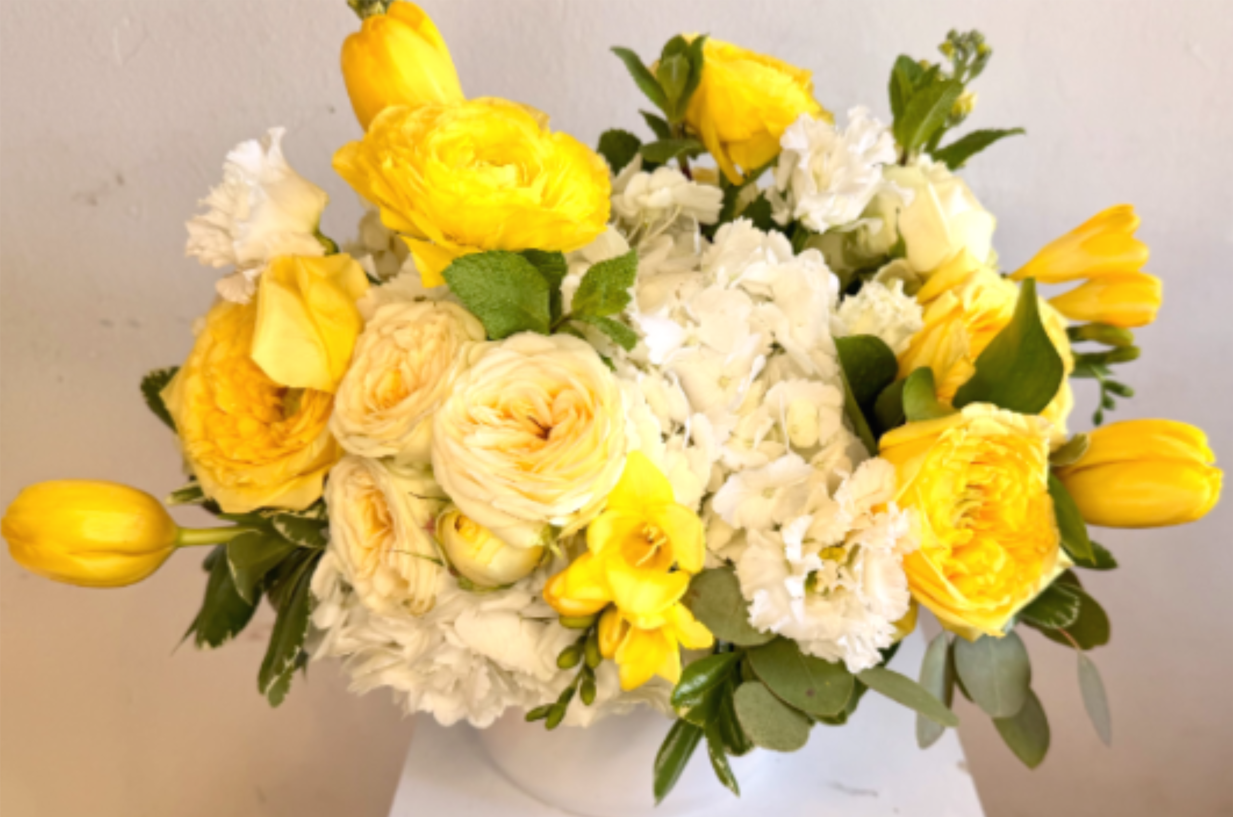Mellow Yellow - A cheerful spray of yellow and white blooms designed to brighten any spring celebration-this bouquet is a sunny birthday bouquet or pick-me-up for someone recovering, and it reads as both joyful and gently elegant. Creamy white hydrangeas form a soft, rounded base while warm yellow roses and layered ranunculus are tucked through the design, so the person you're sending it to feels genuinely noticed and uplifted.  Bright yellow tulips and sprigs of freesia arc slightly outward to give the arrangement movement and a lively silhouette, balanced by touches of white stock and carnations for texture and fragrance. Shown both in a simple white ceramic vase and in a low white ceramic bowl vase, the compact, tidy profiles make this arrangement easy to display on a table, desk, or bedside. The sunny yellow and clean white palette is perfect for spring, Easter, birthdays, or a thoughtful way to say "I'm thinking of you."