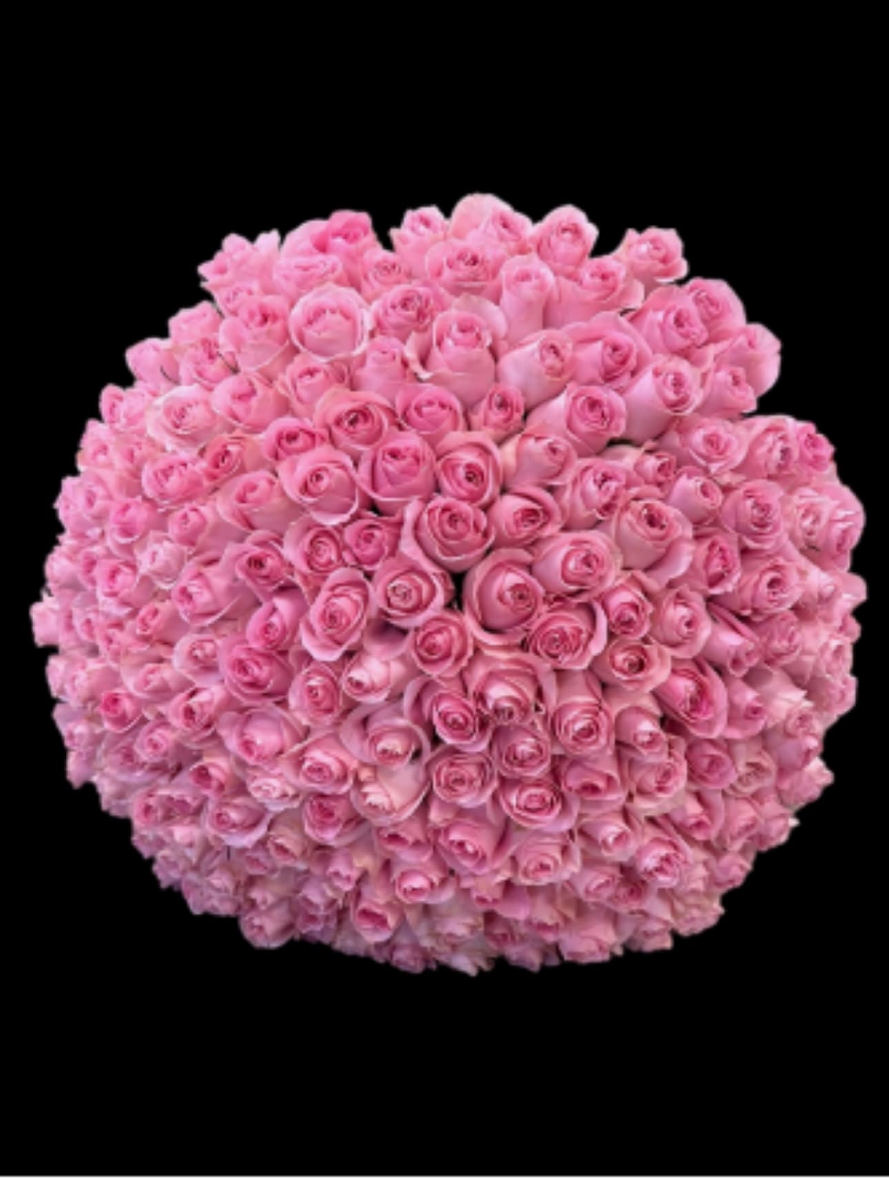Large round bouquet of pink roses on a black background