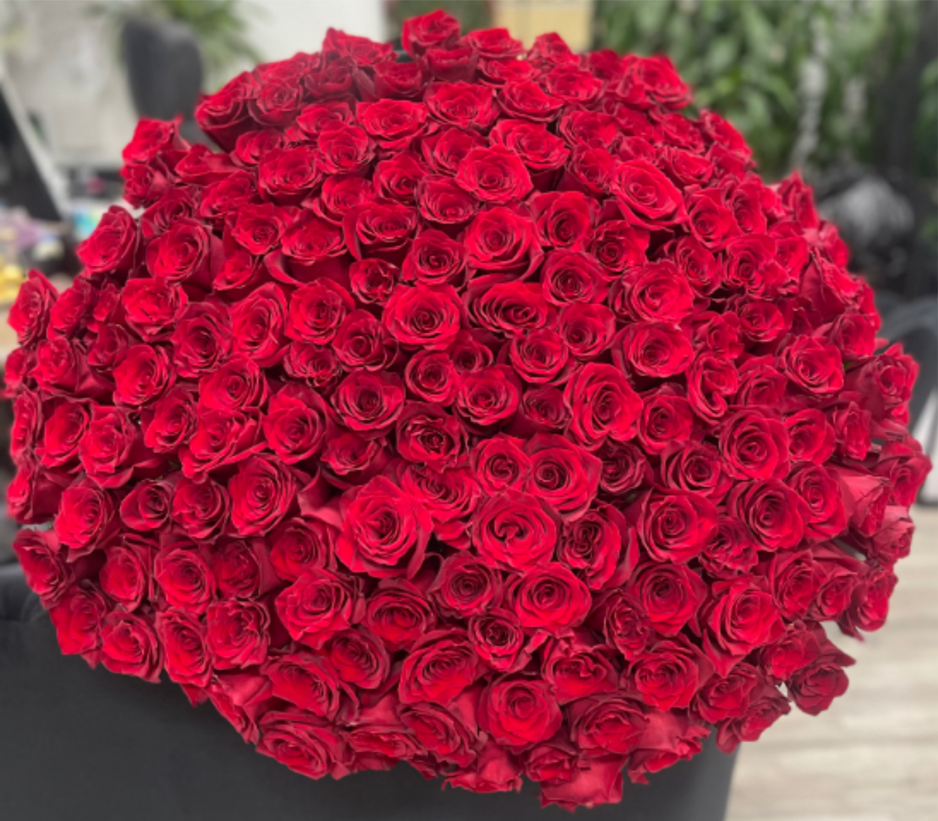 300 Long Stem Red Rose Bouquet  - An unforgettable statement. This breathtaking 300 Red Roses Dome Arrangement features three hundred premium red roses, expertly hand-arranged in a full, elevated dome shape for maximum volume, symmetry, and impact. Designed for those who want to go all out, this luxury arrangement arrives gift-ready and guaranteed to impress the moment it’s delivered.  What’s Included: 300 fresh premium red roses Hand-crafted luxury dome arrangement  Statement-size, photo-worthy design Perfect For Proposals &amp; grand gestures. Once-in-a-lifetime Statement When only the biggest arrangement will do.          Some florals are seasonal, if a particular flower will not be available due to season, we will substitute for similar flower, composition, color pallet and value of the arrangements as closely as possible. All effort to create a floral arrangement as close to the photo shown, the actual arrangement may vary slightly in its appearance from the photo shown. If you have any questions about your order, we welcome you to call us in or email    Holiday Delivery:  Same-day delivery available. Deliveries are made throughout the day based on routing.     