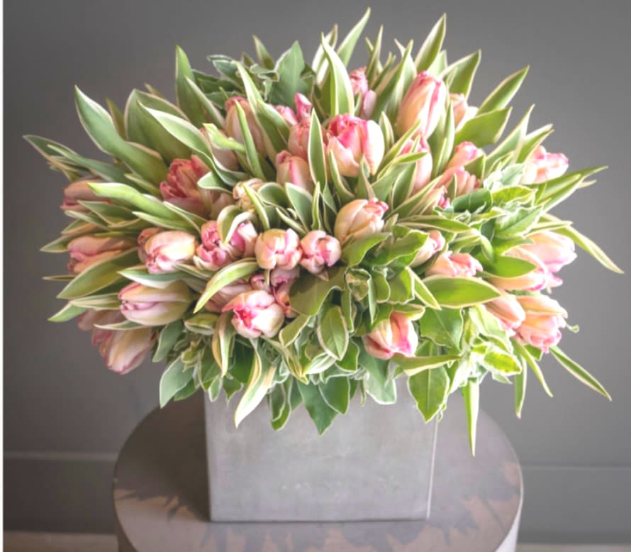 Pink tulips arranged in a square gray vase
