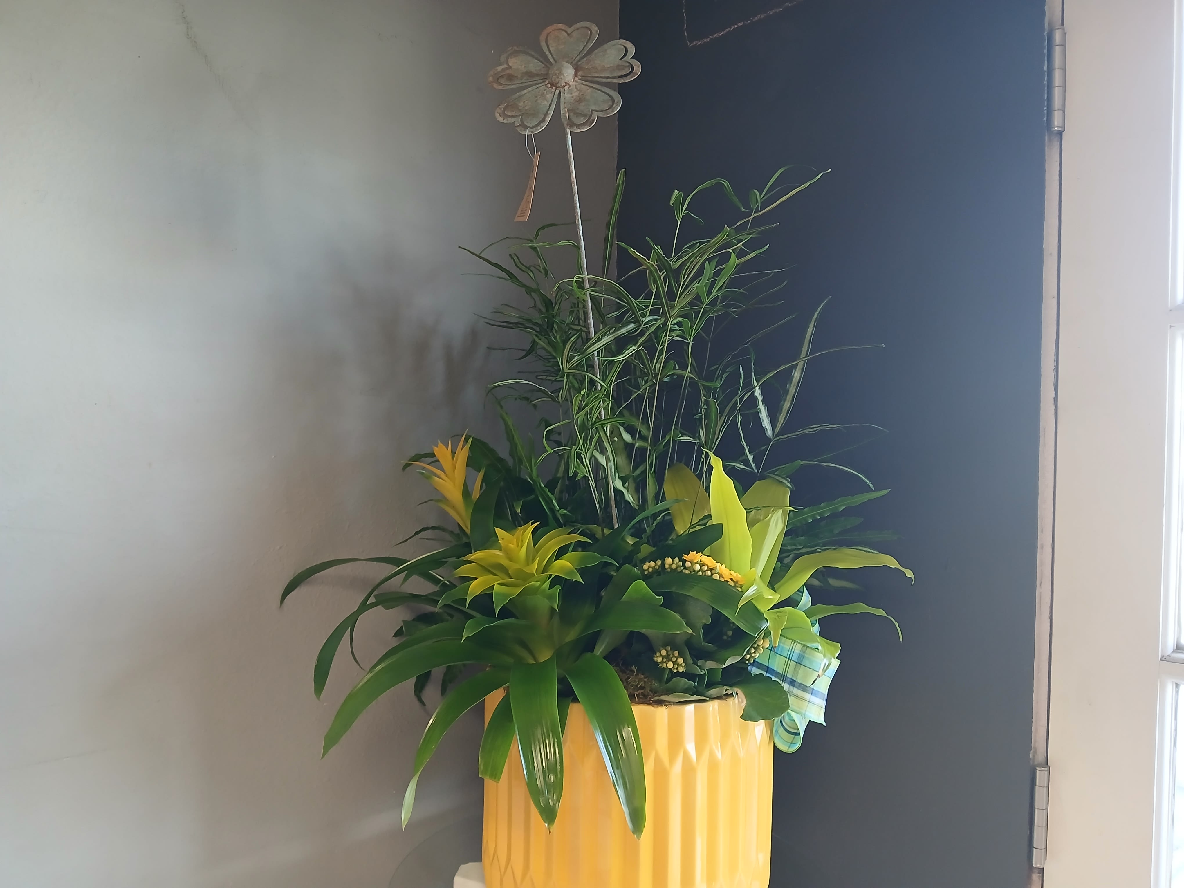 Yellow Plant Mix - This bright and sunny mixed plant arrangement with a beautiful flowery metal accent