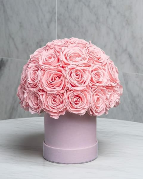 Pink Blossom Dreams - A dome of pale pink roses arranged in a round pink hat box creates an instant impression of refined romance-perfect as an anniversary bouquet, Mother's Day gift, or birthday surprise. The compact, gift-ready presentation reads polished and feminine, so the person you're thinking of will feel celebrated the moment the lid lifts.  Each rose is placed tightly for a uniform, lush dome in soft blush and white tones, giving the arrangement a smooth, tactile surface and a classic silhouette. The round hat box adds structure and makes the flowers easy to display on a table or mantel; no vase needed. This is the kind of floral gift that feels intentional and timeless, ideal when you want her to feel truly seen.