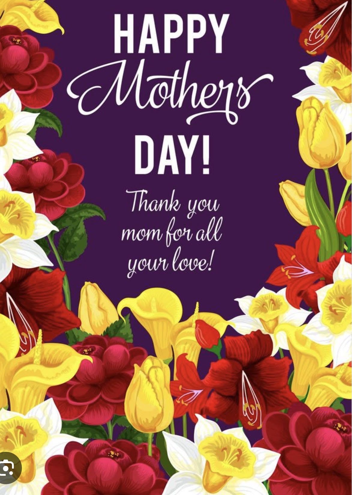 Mother's Day Designer's Choice $150 - A bright, celebratory Mother's Day flower arrangement that reads like a joyful hug for the person you're honoring-designed to make her feel seen and celebrated. This Mother's Day designer's choice bouquet brings together purple, yellow, red and white tones for a lively, springtime look perfect for Mother's Day or a birthday. It's the kind of gift that says "thank you" and "I love you" without words.  Expect a seasonal mix that highlights cheerful yellow daffodils and elegant tulips alongside other complementary blooms in red, white and purple hues. The palette creates bold contrast-sunny daffodils against deeper purple accents and pops of red-giving the bouquet a decorative, festive edge. Arranged by our designers, the size and exact flower varieties will be chosen to ensure a full, balanced presentation.  Ideal for moms who love vibrant color and classic spring flowers, this arrangement works well for breakfast surprises, Mother's Day brunches, or as a heartfelt delivery to brighten her day. Care is simple: keep in fresh water, trim stems every few days, and keep away from direct heat to extend vase life. Place your order early for Mother's Day to ensure availability.