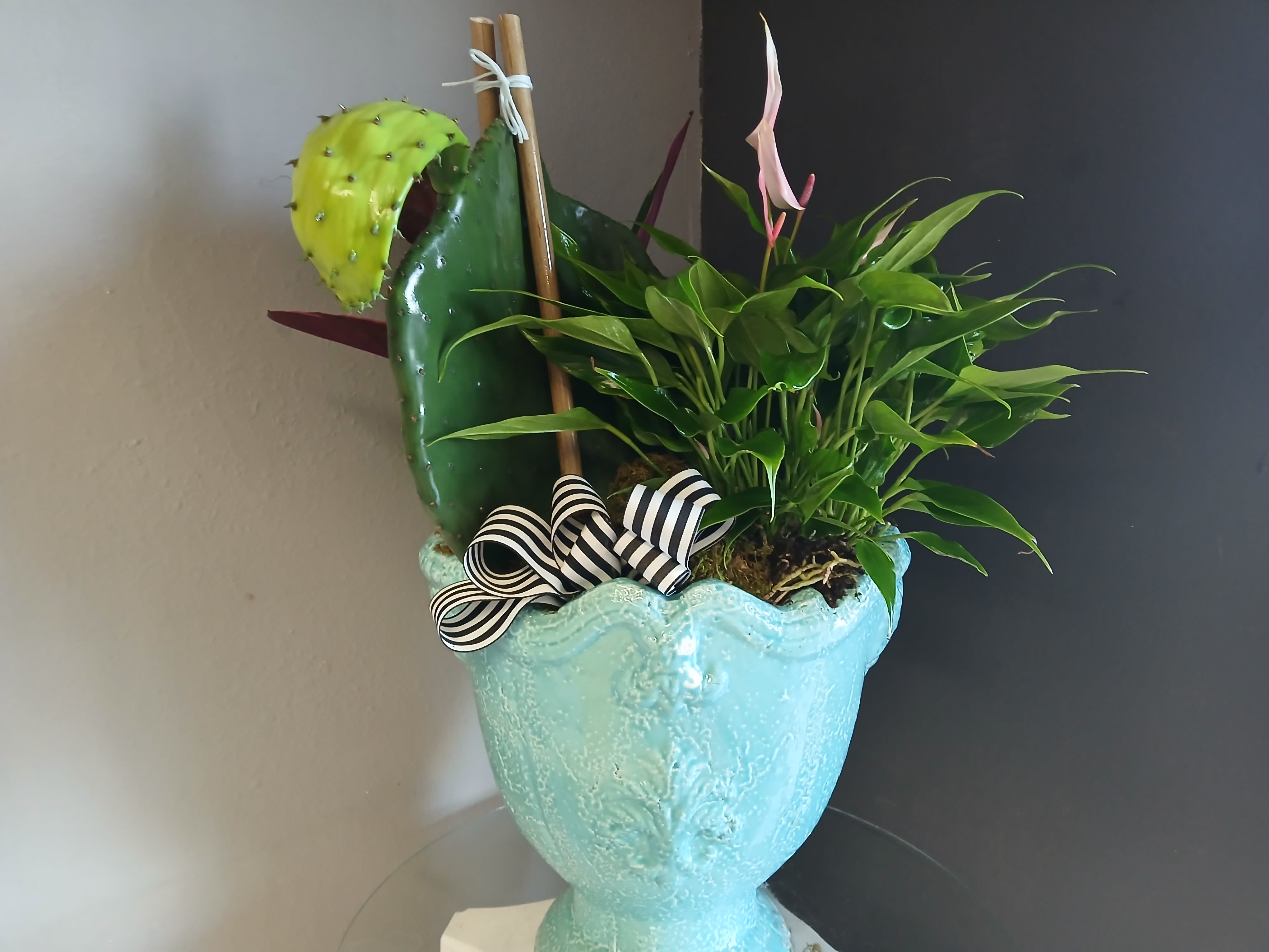 Paddle + Anthurium  - Mixed plant arrangement in a gorgeous blue pot with a black and white striped bow