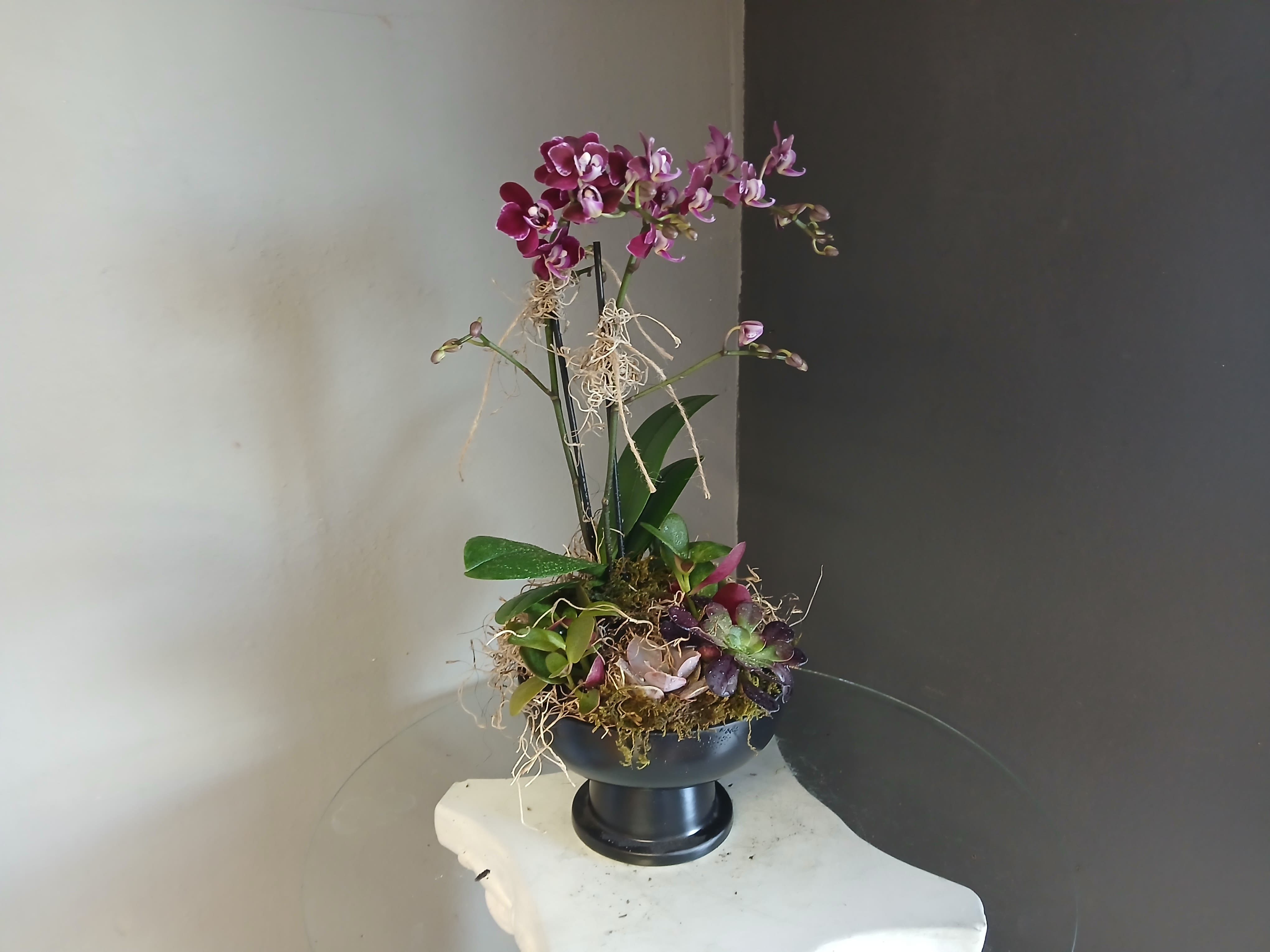 Dianty purple orchid and succulents - Lovely purple orrchid complimented by 4 succulents