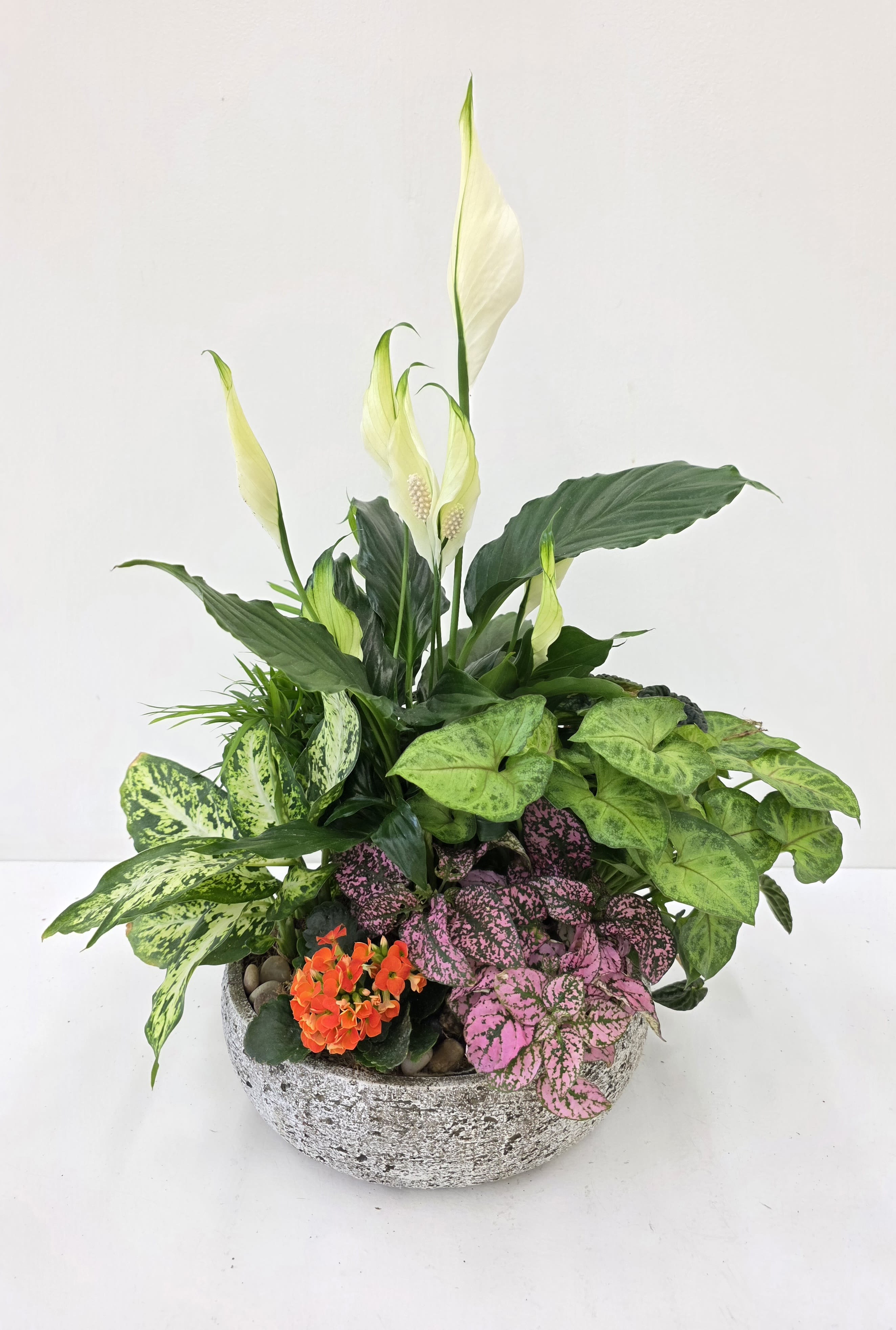 Stone Planter Dishgarden - Planted in a round ceramic planter and finished with decorative stones, the composition is dense and textural-varied leaf shapes and heights draw the eye while the peace lily's white blooms add an elegant vertical accent. Because the plants arrive potted, this dishgarden works beautifully on a coffee table, shelf, or kitchen counter as a living centerpiece that develops character over time.  .