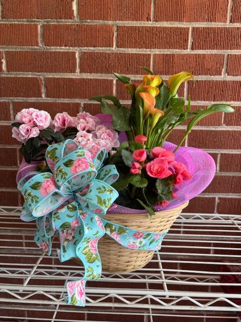PLANT LOVER - Beautiful plant basket with indoor plant and outdoor plants that can be replanted outside. A lovely gift for someone to enjoy.