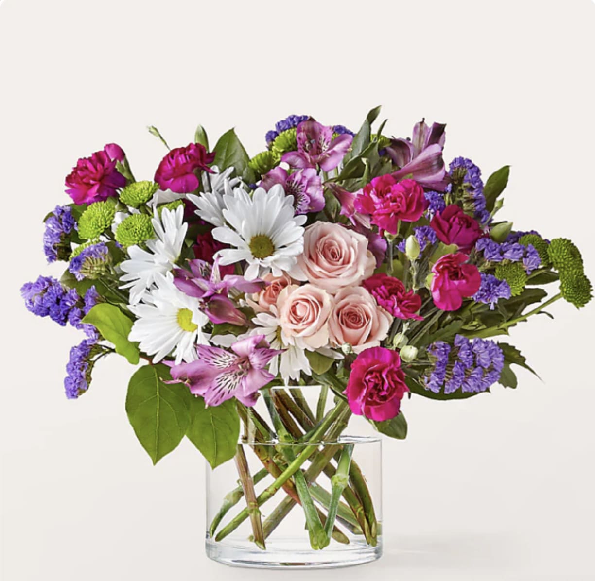 BOLD COLORS - AN ARRAY OF BLOOMS FULL OF COLOR