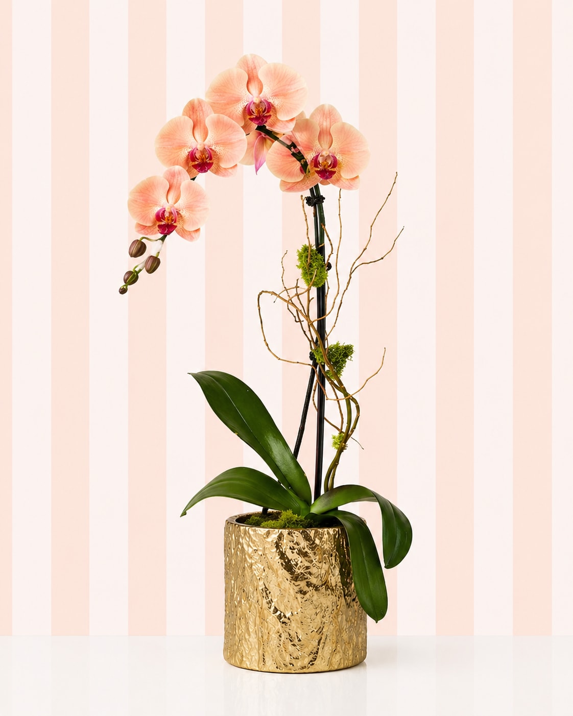 Soft Peach Orchid – Gold Vase | Designer’s Choice - Our Soft Peach Orchid offers a delicate blend of peach and blush tones, creating a warm and inviting look that feels both modern and romantic.  Designed in a gold vase, this orchid is perfect for gifting when you want something soft, feminine, and slightly unique.  Each piece is a Designer’s Choice orchid, ensuring premium quality while allowing for natural variation in bloom count and shape.   Color: Peach / blush  Style: Soft, warm, romantic  Best for: “She loves soft neutrals with a hint of color” 