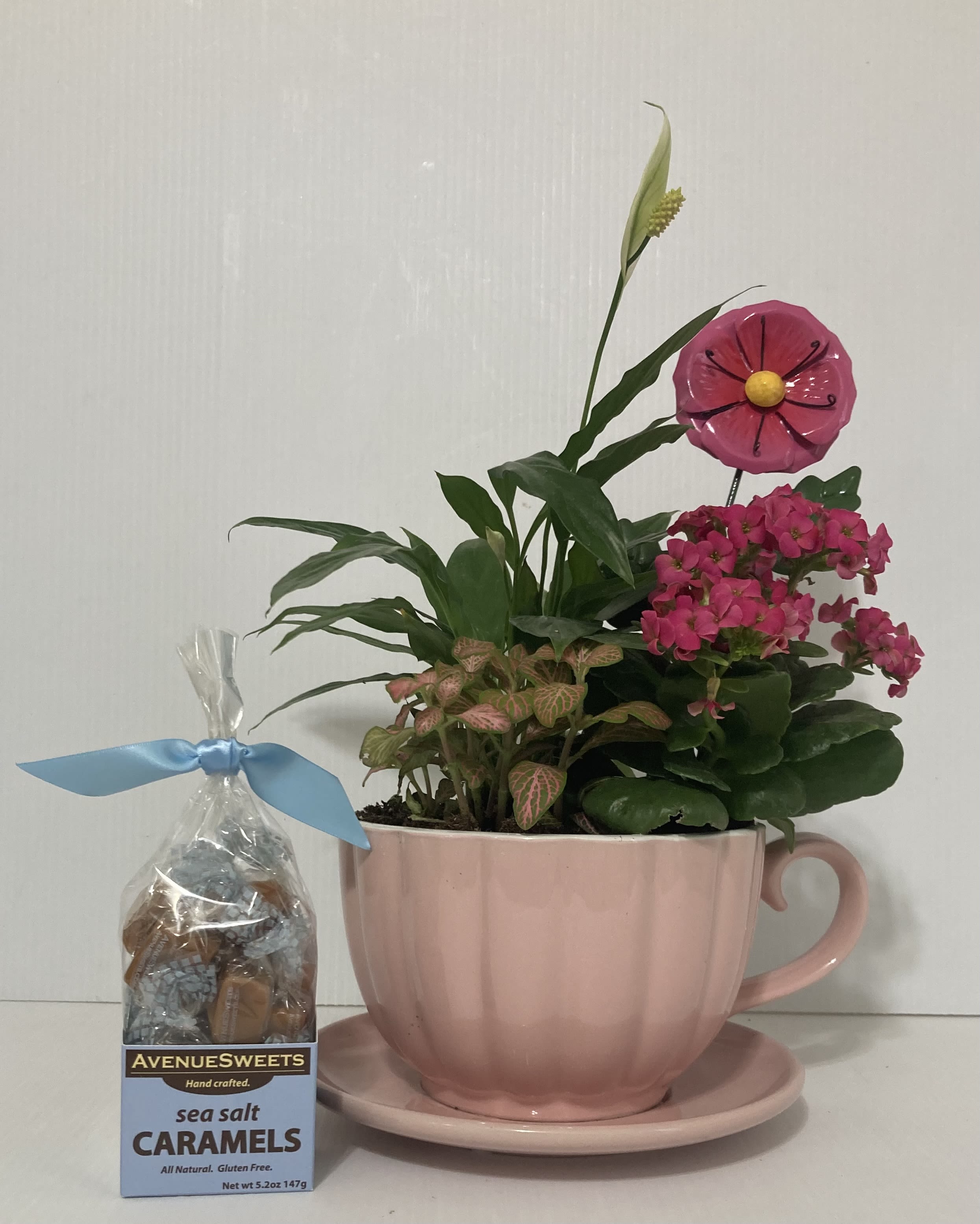 Cup of Love Flowering Plant - Charming Tea Cup container with Flowering Plant and delicious caramels for your loved one