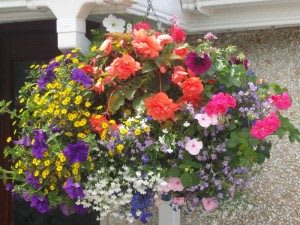 Large mixed flower arrangement in a white planter with bright pink, orange, purple, and yellow blooms
