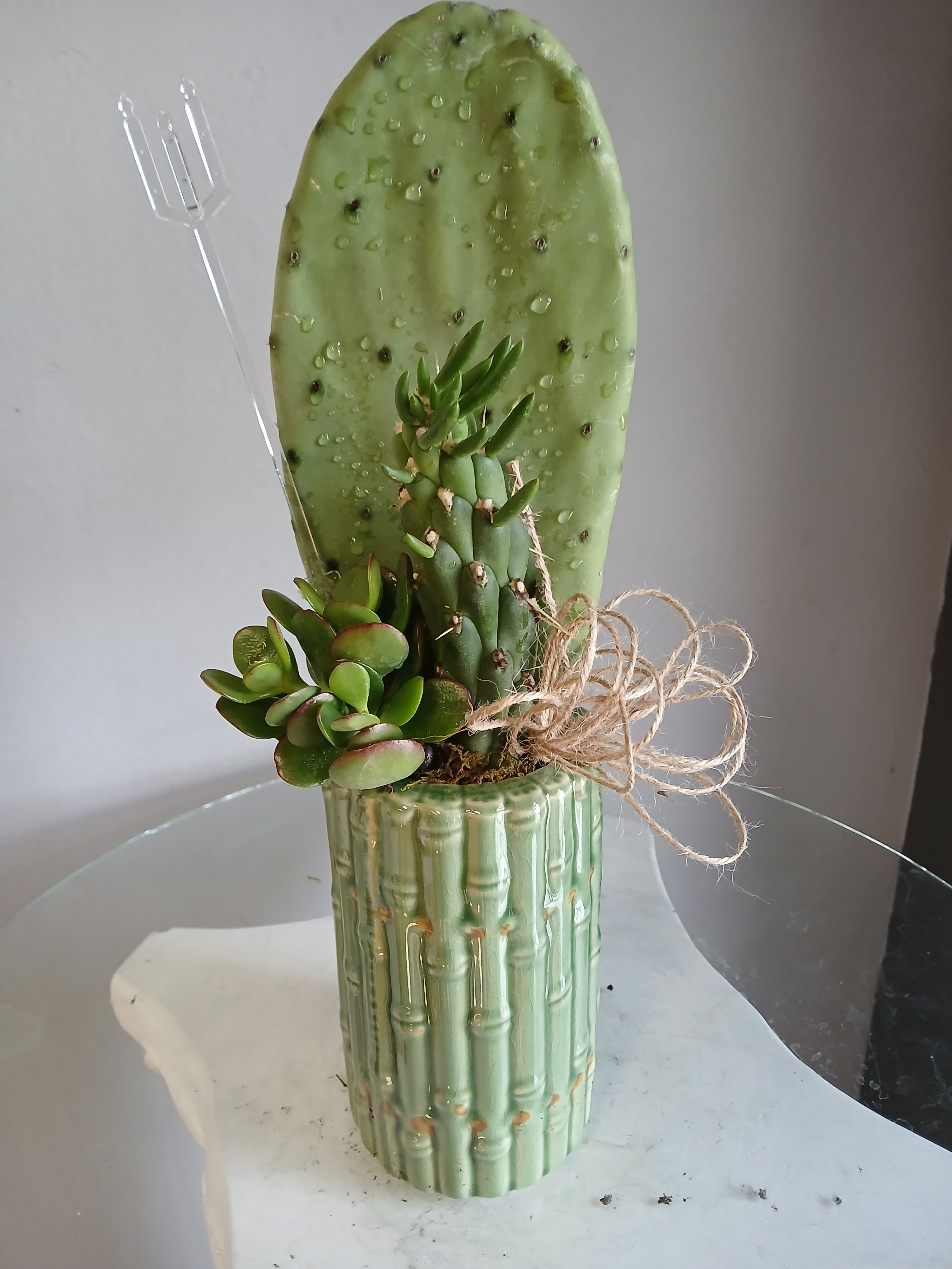 Cactus plant PL103 - A compact, modern-rustic potted succulent arrangement that feels like a little patch of desert calm-perfect as a housewarming gift, birthday plant, or just-because pick-me-up. This small cactus plant arrangement works well for everyday gifting or to bring low-maintenance green style to a desk, windowsill, or bedside table; the recipient will appreciate a living gift that looks designed but needs minimal care.  The planting features a tall prickly pear pad rising behind a cluster of jade-like succulents, arranged for pleasing texture and contrast in a ribbed green ceramic planter. A rustic twine bow at the base and a discreet plastic plant pick complete the look, giving it a handcrafted touch. Compact and textural with a soothing green palette, it's sized for small spaces and easy to place wherever a steady bit of greenery is wanted. Care is simple-bright, indirect light and occasional watering-so it stays a lasting, thoughtful reminder.
