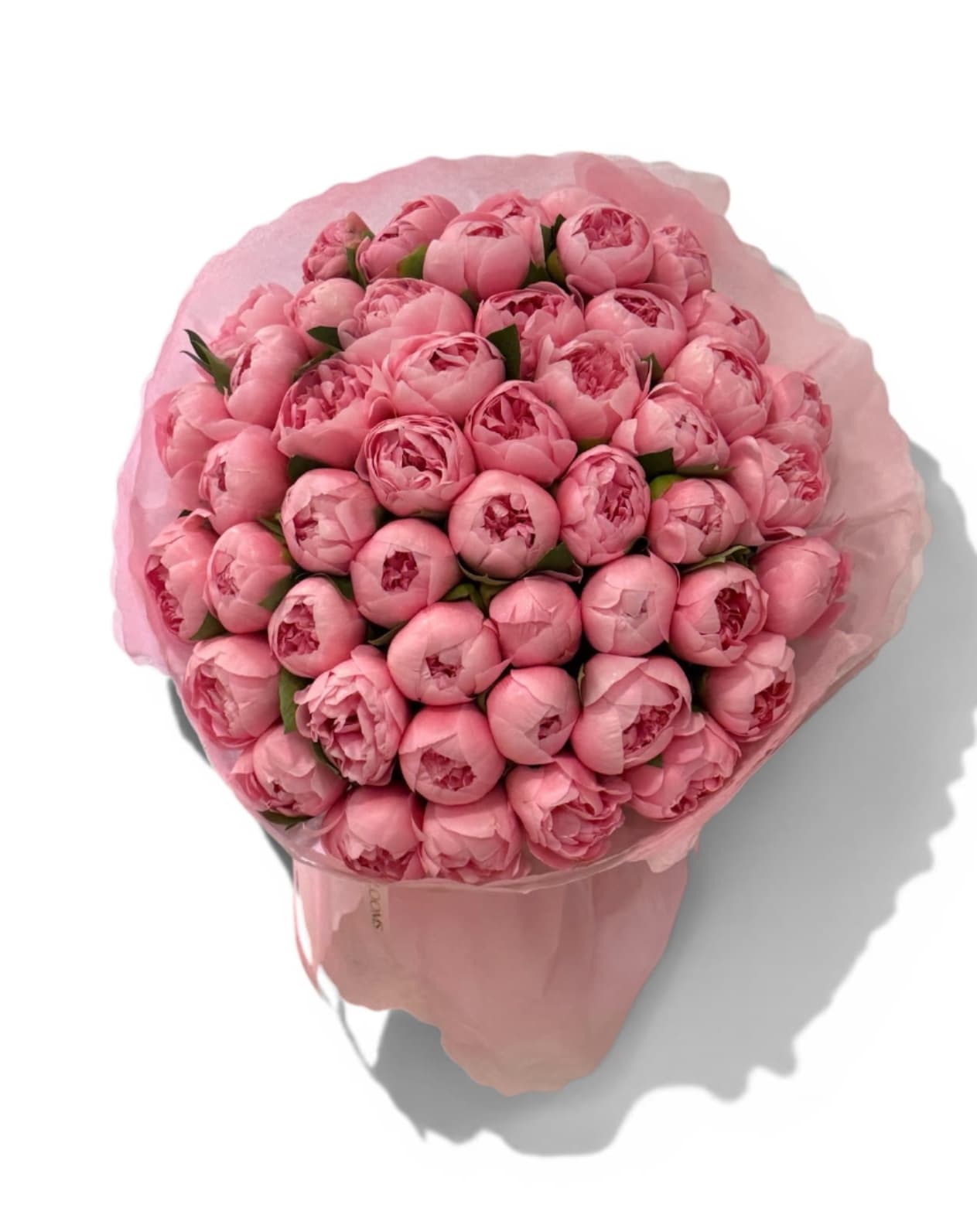 Blush Dream 50 - A lush, hand-tied bouquet of premium pink peonies, wrapped in soft blush tones. -romantic, full, and effortlessly elegant.