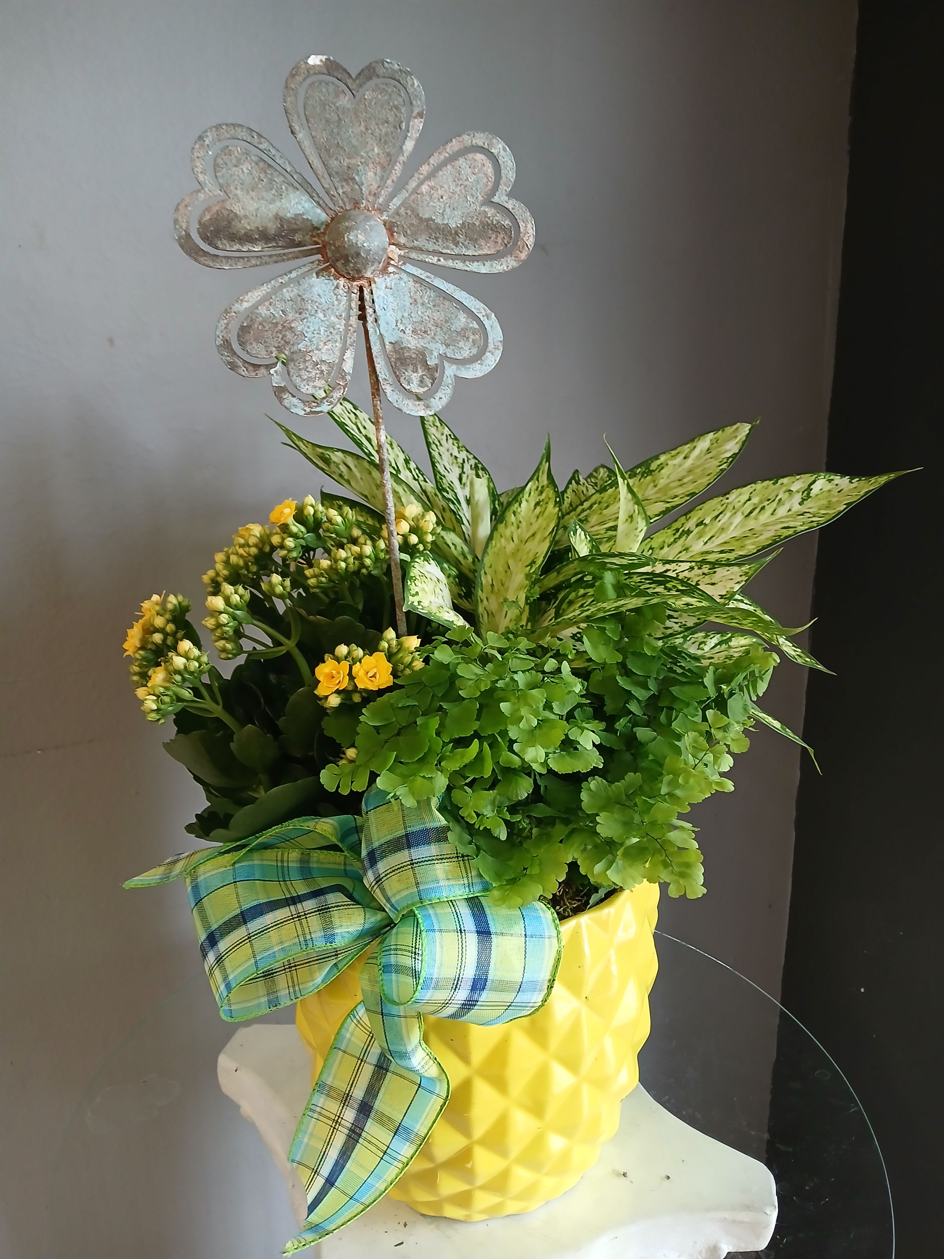 Mixed plants PL106 - Cheerful green and yellow potted plants make an immediate sunny statement - perfect as a housewarming gift or a bright "thinking of you" for birthdays and get-well wishes. This mixed plant arrangement pairs dense green foliage with clusters of small yellow blossoms to create a fresh, uplifting display that feels casual and handcrafted.  The plants arrive in a bright yellow textured ceramic pot that boosts the arrangement's happy, modern vibe. A large blue-green plaid ribbon bow at the front adds a cozy, cottage-style touch, while a metal flower pick rises above the foliage for a bit of rustic charm. Colors include vivid yellow blooms, rich greens, touches of blue and white from the accents, and the whole composition is compact enough for tabletops, shelves, or a sunny windowsill.  Intended for gifting or everyday home decor, this arrangement is the kind of present that makes someone feel noticed and brightens a room instantly. Care is typical for mixed potted plants: provide bright, indirect light and water when the topsoil begins to dry to keep the foliage lush and the little blossoms thriving.