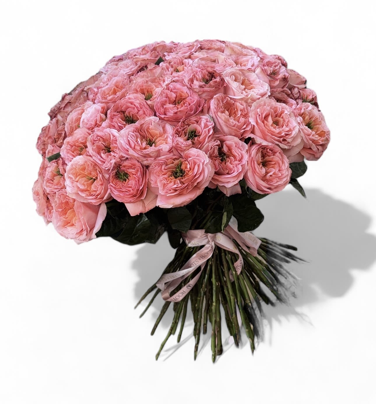 Large bouquet of pink ranunculus tied with a ribbon