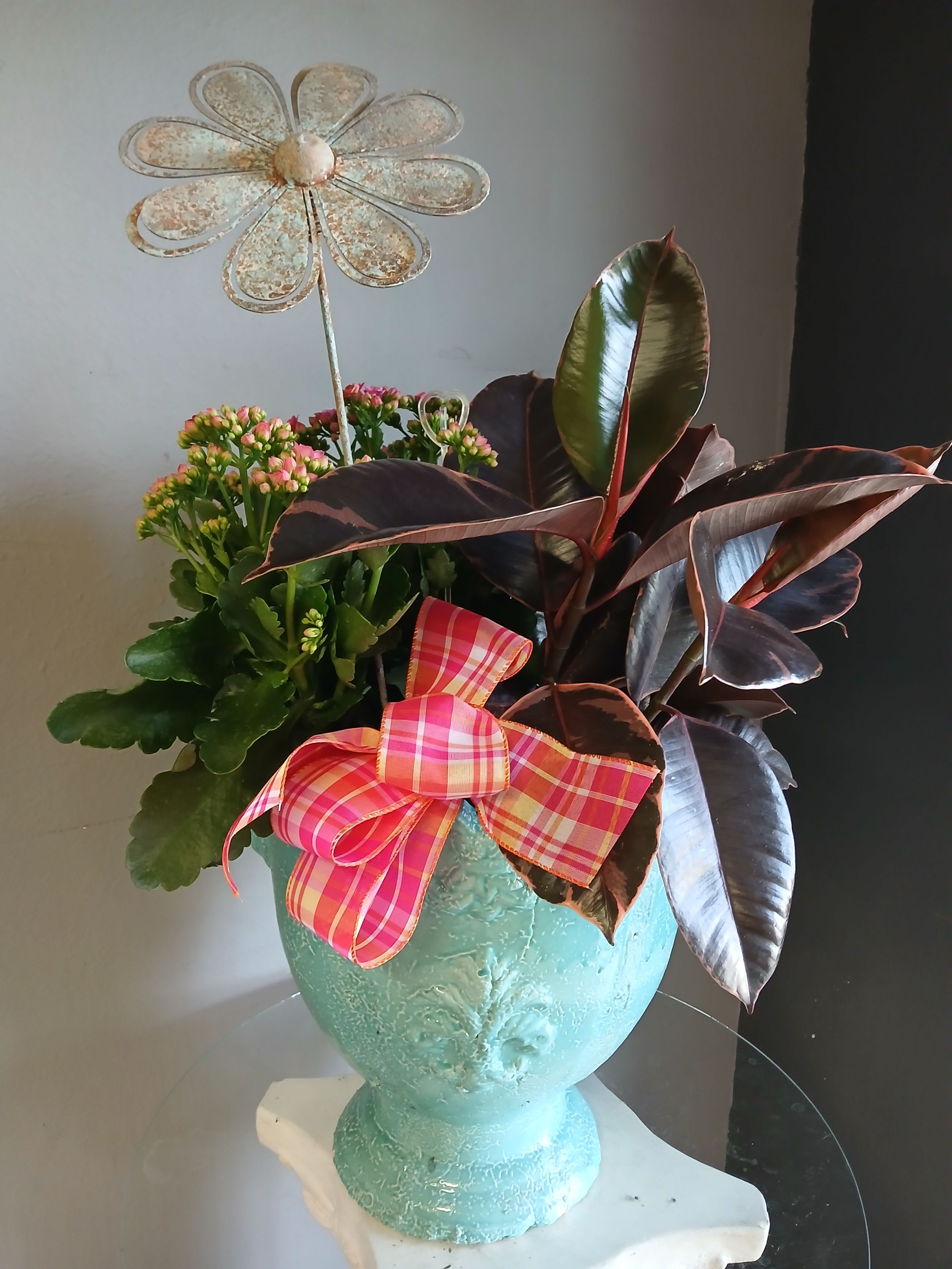Cactus in Pot PL112 - A bright, gift-ready indoor planter that reads like a little green celebration - perfect as a housewarming gift, everyday pick-me-up, or cheerful thank-you arrangement. The flowering kalanchoe-like plant offers clusters of pink and yellow buds that catch the eye, while a glossy rubber plant with deep burgundy leaves provides sculptural contrast and a fuller silhouette that feels modern and warm.  Planted in a turquoise ceramic pedestal vase and finished with a large pink plaid ribbon bow and decorative flower pick, this mixed-plant arrangement blends playful color (pink, green, white, blue accents) with homey texture. The compact composition fits easily on a windowsill, desk, or entry table and brings low-maintenance life to any room.  Designed to make the recipient feel genuinely seen and uplifted, it's an ideal gift for someone settling into a new place or anyone who enjoys living plants with personality. Care is simple-bright, indirect light and occasional watering keep the plants healthy; the ceramic vase and decorative bow make it ready to display right away.