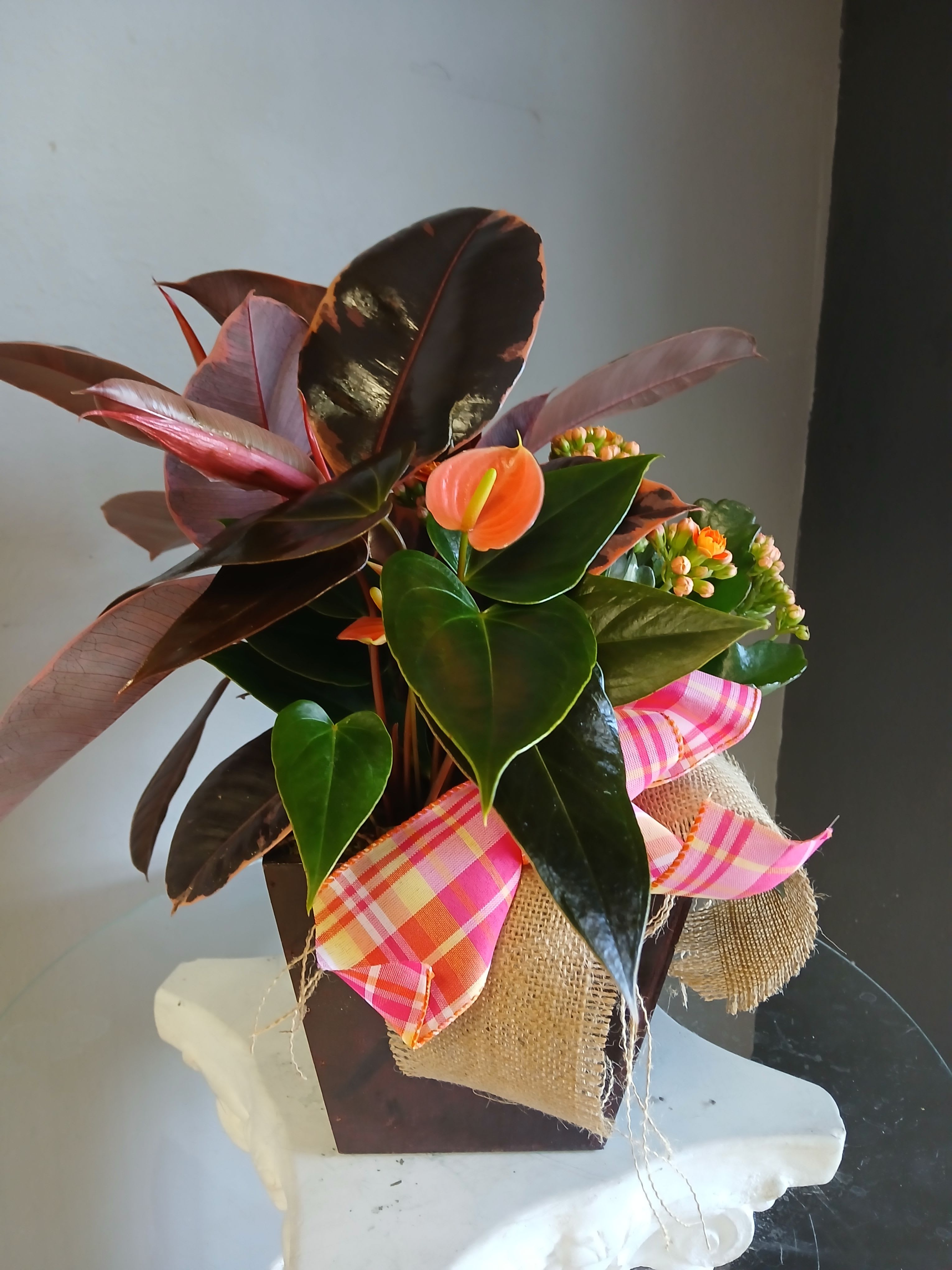 Mixed plant in a pot PL109 - Glossy tropical foliage and bold orange anthuriums make this potted plant arrangement a striking everyday gift or cheerful housewarming choice. As a flower arrangement for celebrating a new home or brightening someone's day, the compact composition reads modern and lush-she'll feel noticed by the vibrant color contrast and sculptural leaves.  The piece sits in a clean square container wrapped in burlap and finished with a pink plaid ribbon, blending rustic texture with a contemporary silhouette. Deep green, broad tropical leaves provide dramatic contrast to the warm orange anthurium blooms, while touches of pink and purple tones soften the palette and add visual depth. The compact size fits tabletops, entryways, or small side tables without overwhelming the space.  Perfect for sending a thoughtful "thinking of you" or for welcoming someone to their new place, this low-maintenance tropical plant looks fresh for weeks with basic care-bright, indirect light and regular watering when the topsoil feels dry. The finished burlap wrap and ribbon make it ready to gift straight away.