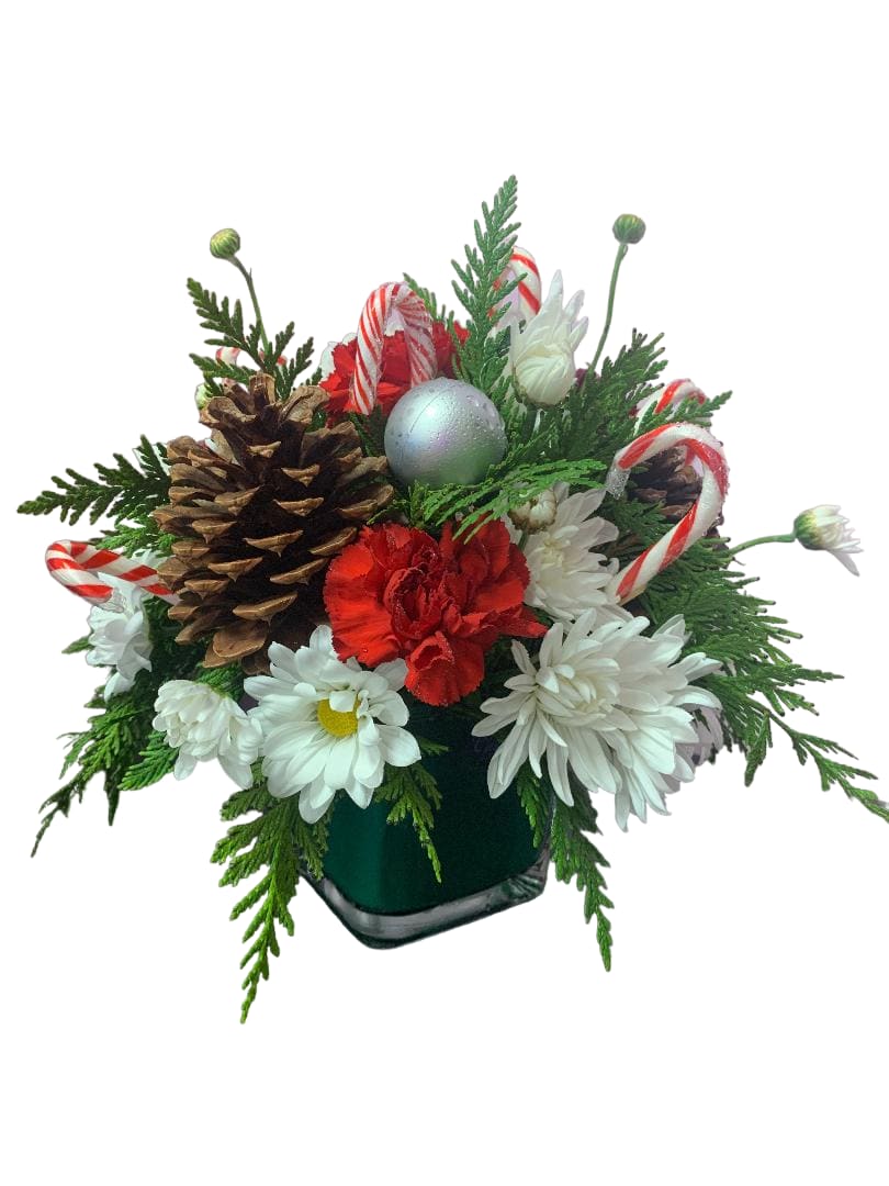Holiday arrangement with white daisies, red carnations, pinecones, and candy canes in a vase