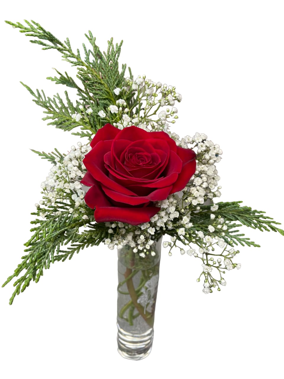 Red rose in a clear glass vase with white baby's breath