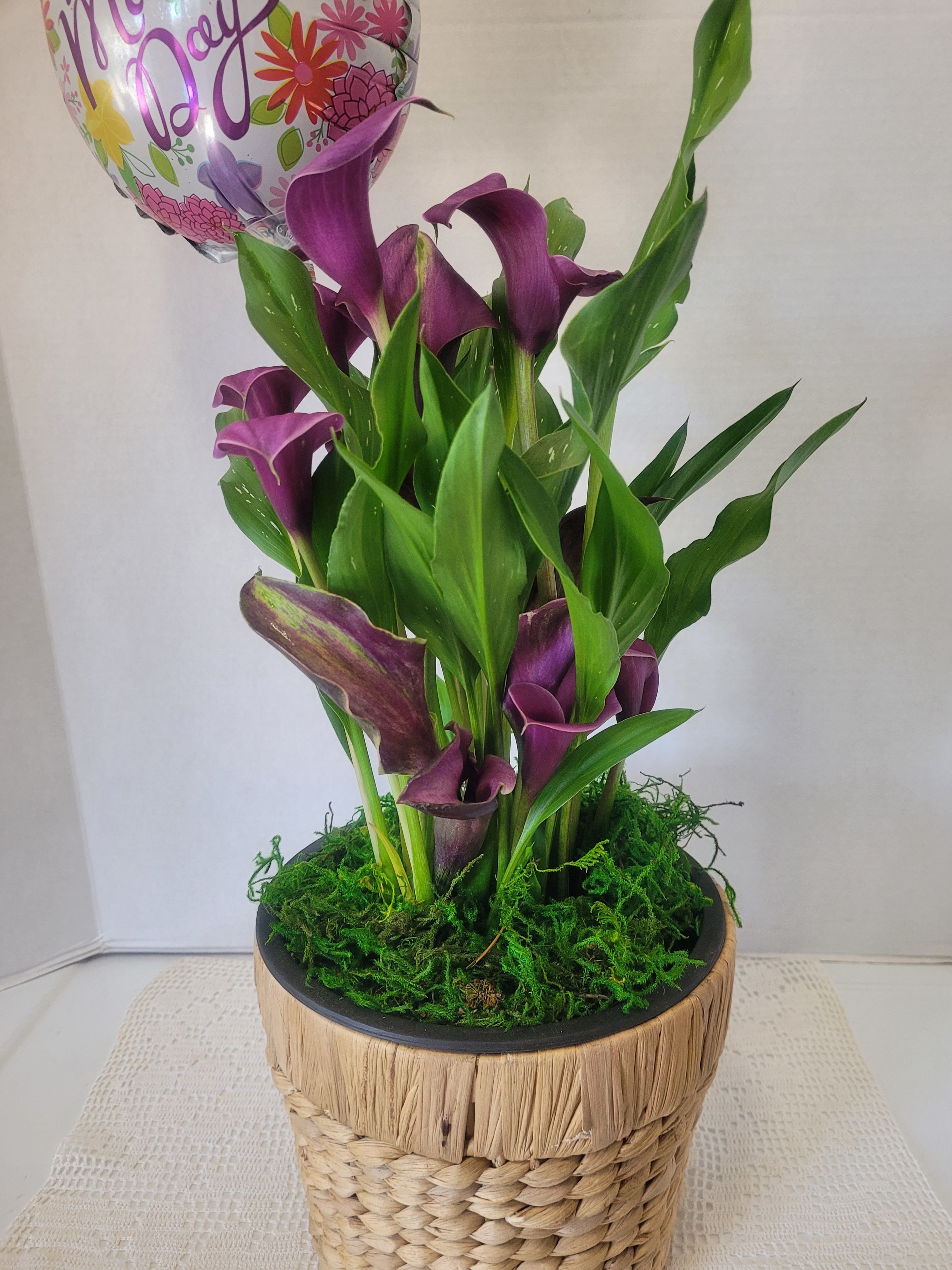 Lovely Purple Calla Lily  - This striking Calla Lily will be a beautiful addition to any decor. A gift for anyone.