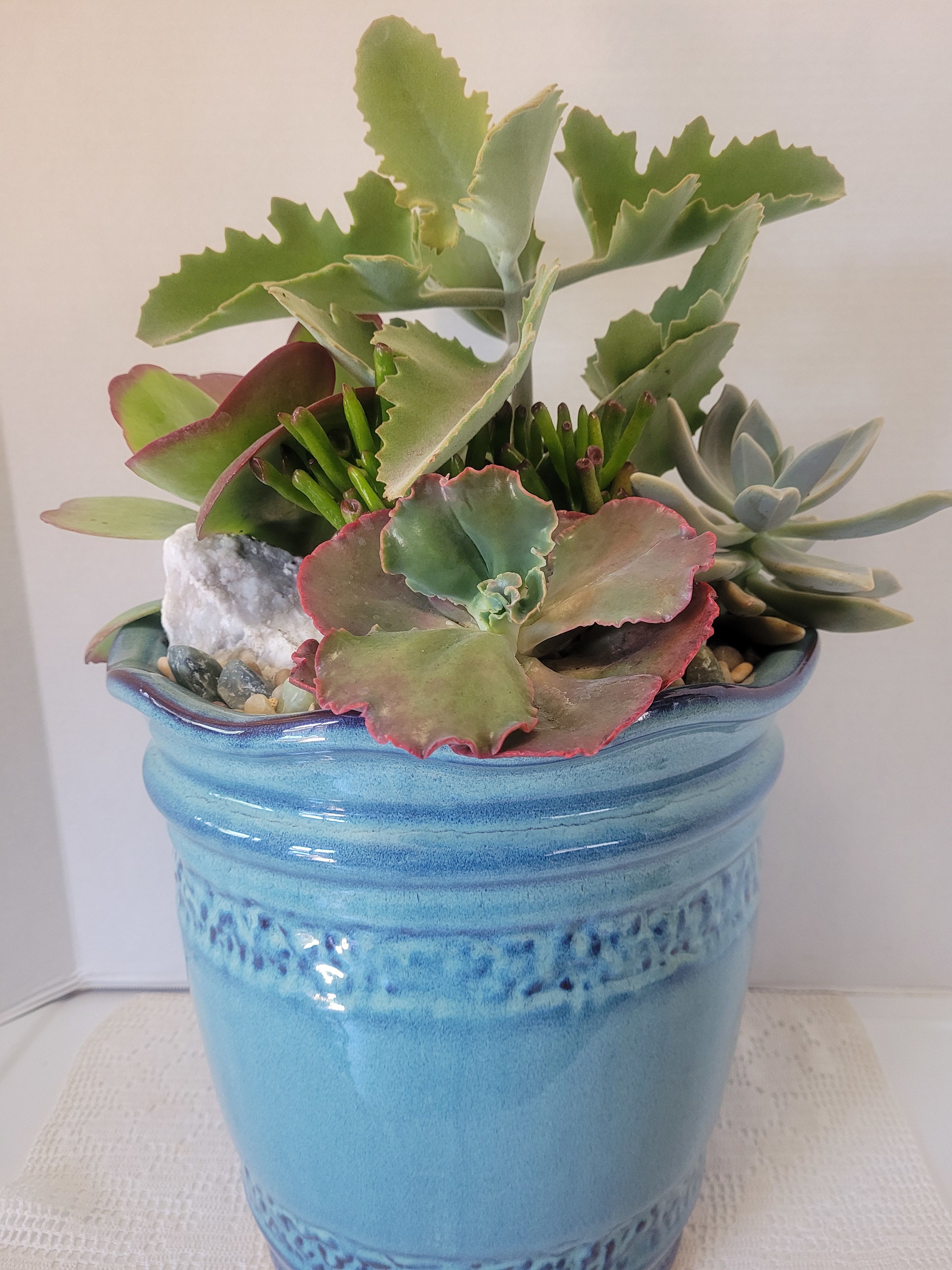Extra Large Blue Landscape Container  - An amazing succulent landscape arrangement for your garden, porch or patio. 