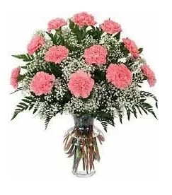 Pink carnations and baby's breath in a clear glass vase