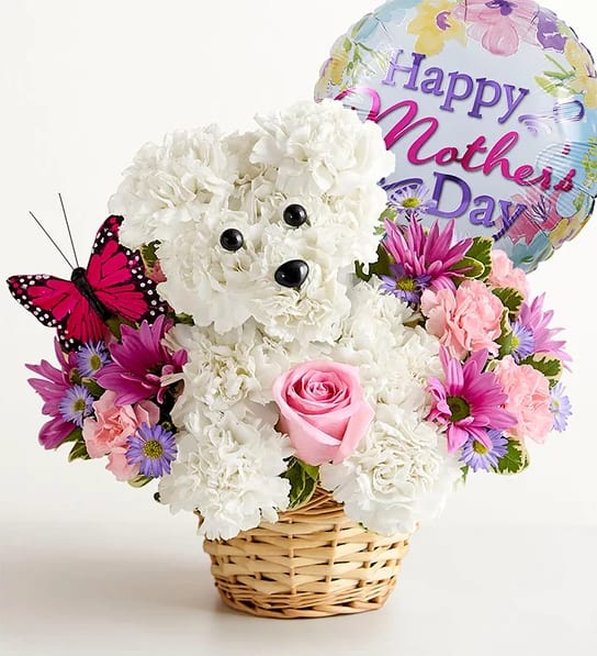 Woof You Mom – Mother’s Day Puppy Flowers - Show Mom just how much she’s loved with our adorable Woof You Mom Puppy Flower Arrangement. Handcrafted with fresh white carnations to create a charming puppy design, this unique floral gift is accented with soft pink roses, colorful seasonal blooms, and a festive Mother’s Day balloon.  Arranged in a classic woven basket, this playful yet elegant design is perfect for making Mom smile. Whether you’re celebrating Mother’s Day or sending a heartfelt surprise, this dog-shaped flower arrangement is a memorable and meaningful gift she won’t forget.  Perfect for: Mother’s Day, gifts for mom, unique flower delivery, and special surprises.