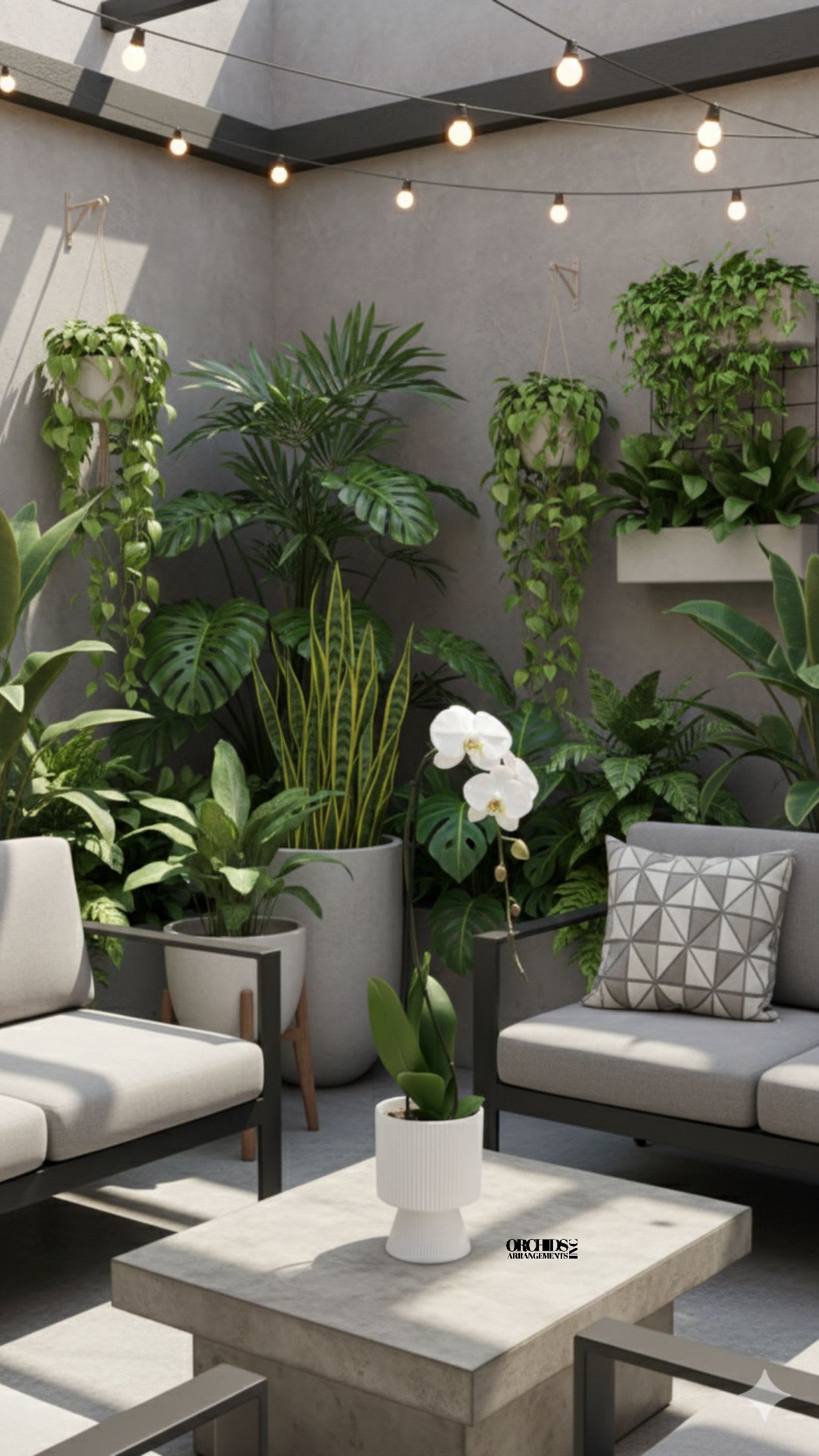 White orchid in a white pot on a concrete table, surrounded by potted houseplants