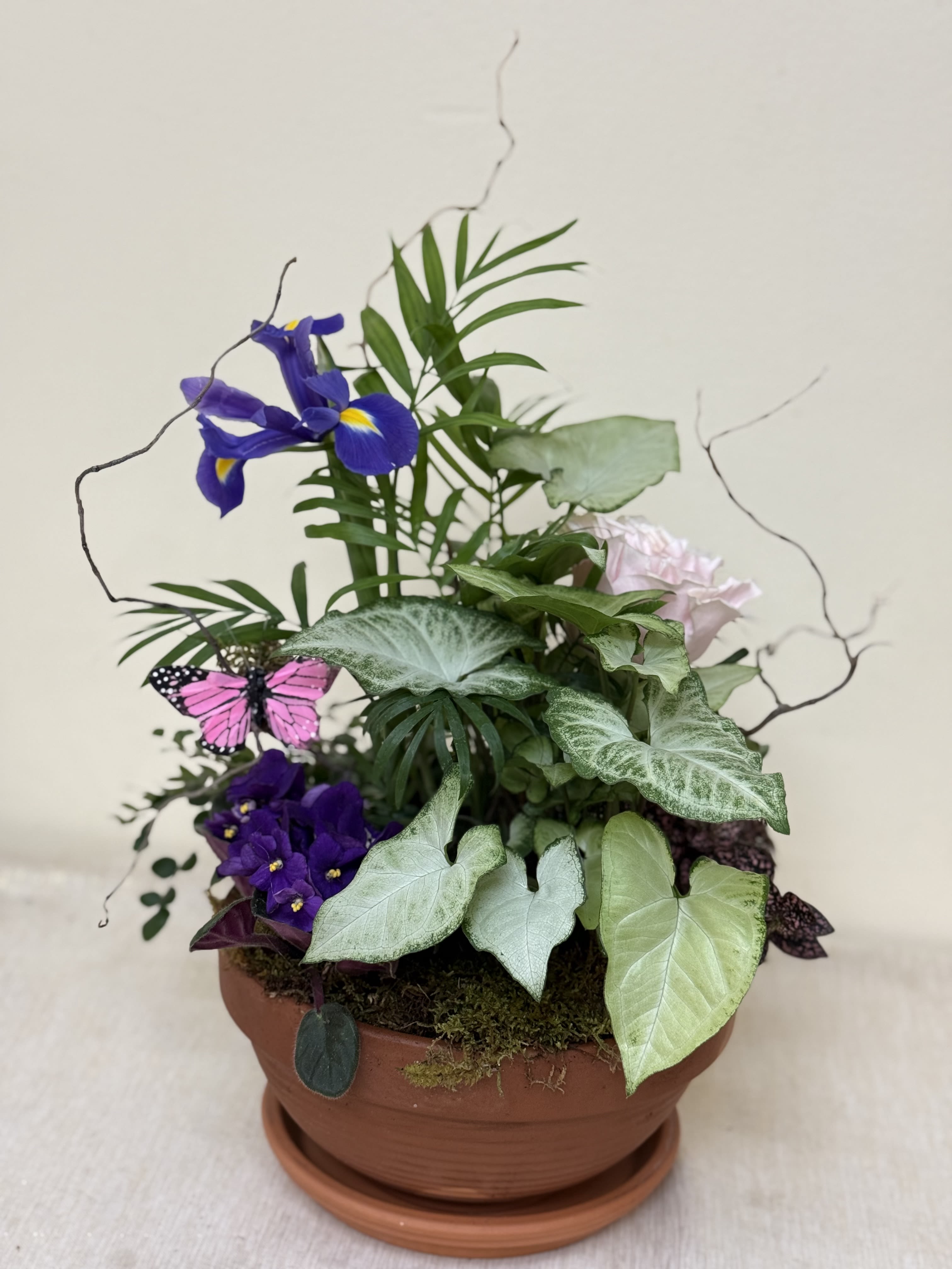 Mother’s Day Garden - A compact terracotta pot filled with layered greenery and pops of color-this potted flower arrangement is perfect as a Mother's Day gift or a cheerful housewarming plant. Lush textured foliage forms a soft, living backdrop while bright purple iris-like blooms rise above the leaves and a pale pink blossom offers a gentle focal point. A decorative pink butterfly pick adds a whimsical touch that makes the recipient smile the moment they see it.  Arranged in a classic terracotta container with a matching saucer, the display feels both garden-fresh and ready to sit on a windowsill or tabletop. The mix of shapes and textures gives visual depth without taking up much space, making it ideal for birthdays, get-well wishes, thank-you gestures, thinking-of-you moments, anniversaries, or simply brightening someone's day. Care is low-maintenance-place in bright, indirect light and water when the topsoil feels dry-to keep the foliage vibrant through spring, summer, and beyond.