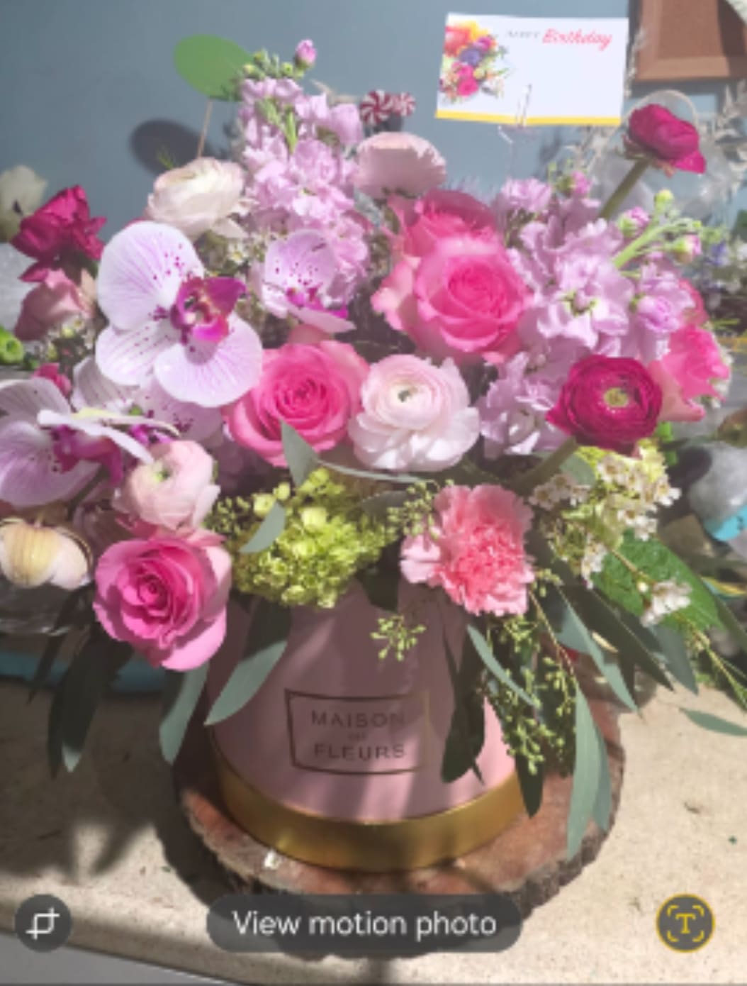 fancy pants - Beautiful hat box arrangement, styled in floral foam.  Orchids, garden roses, ranunculus, seeded eucalyptus, 16x16