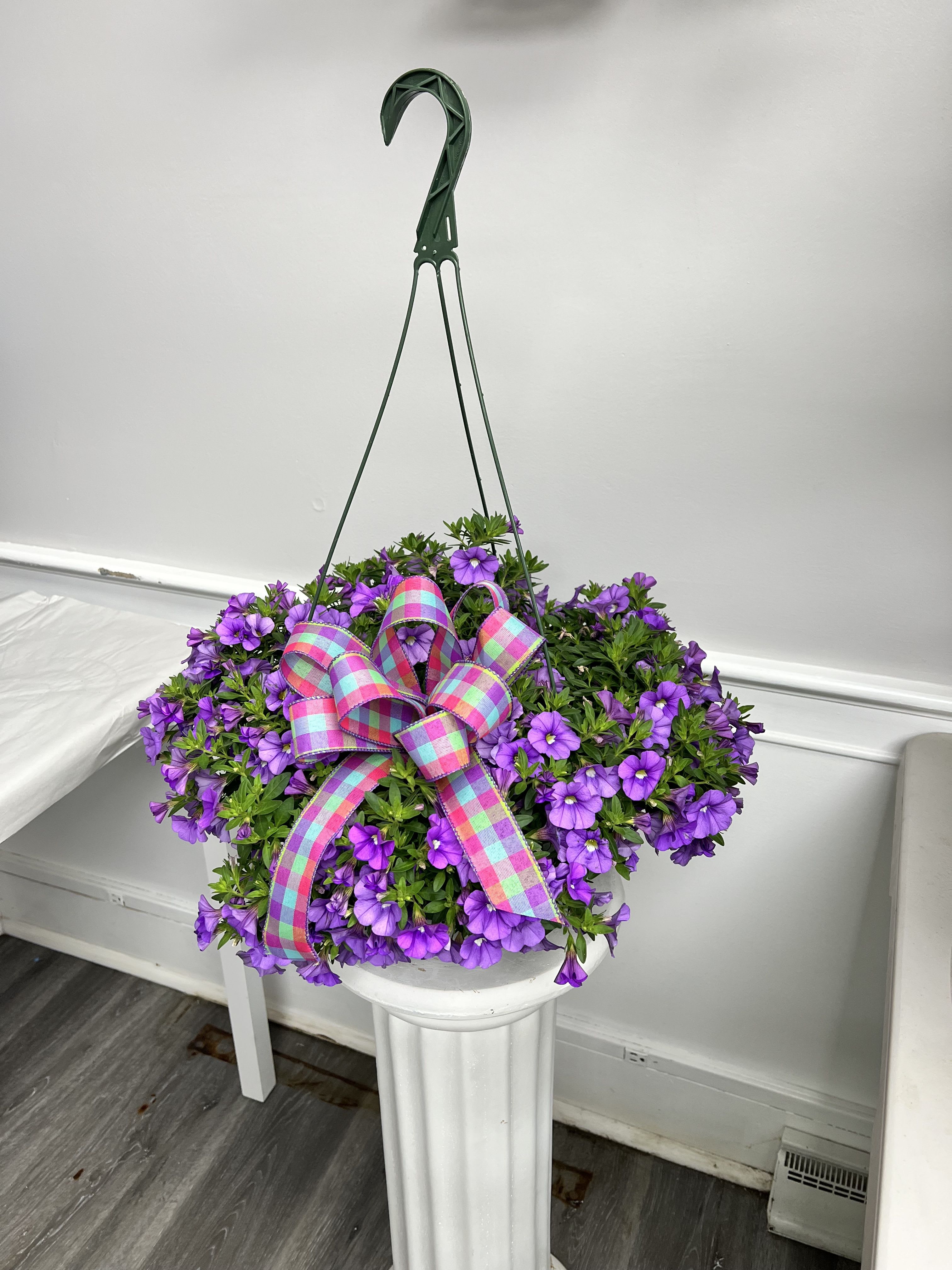 Variety of  Hanging Plants - Give beauty they can enjoy every day, We will choose a beautiful blooming plant for the occasion.  Colors and plants will vary from the photos. shown in photo's are million bell and true blue Lobelia  
