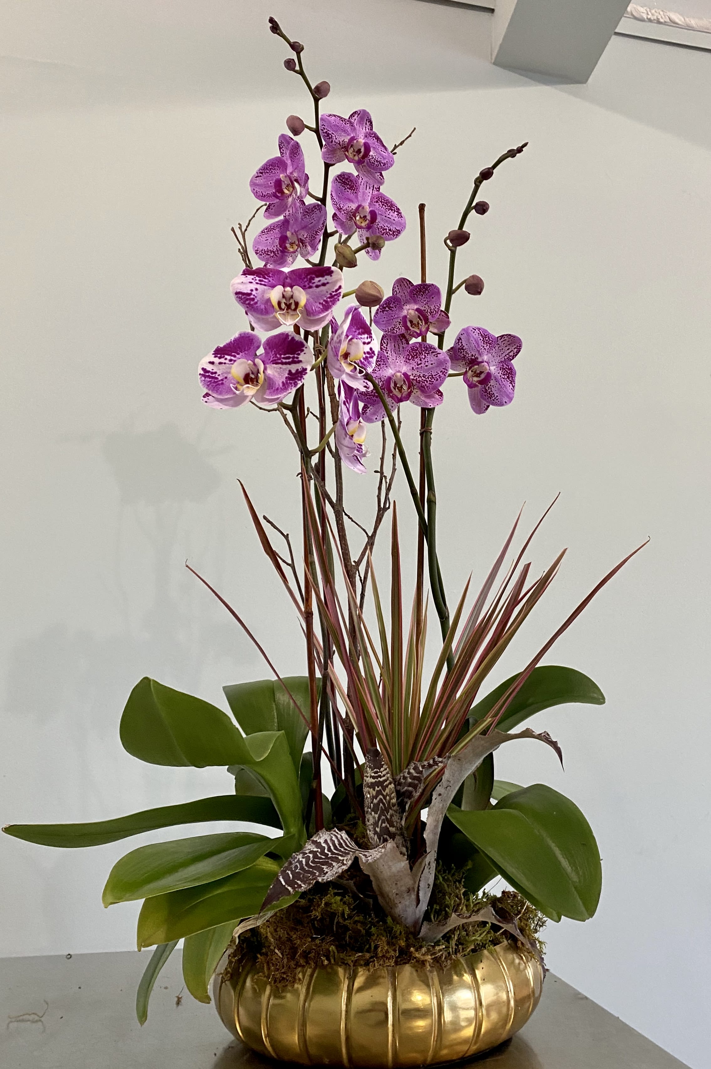 Purple orchids in a gold bowl planter with broad green leaves