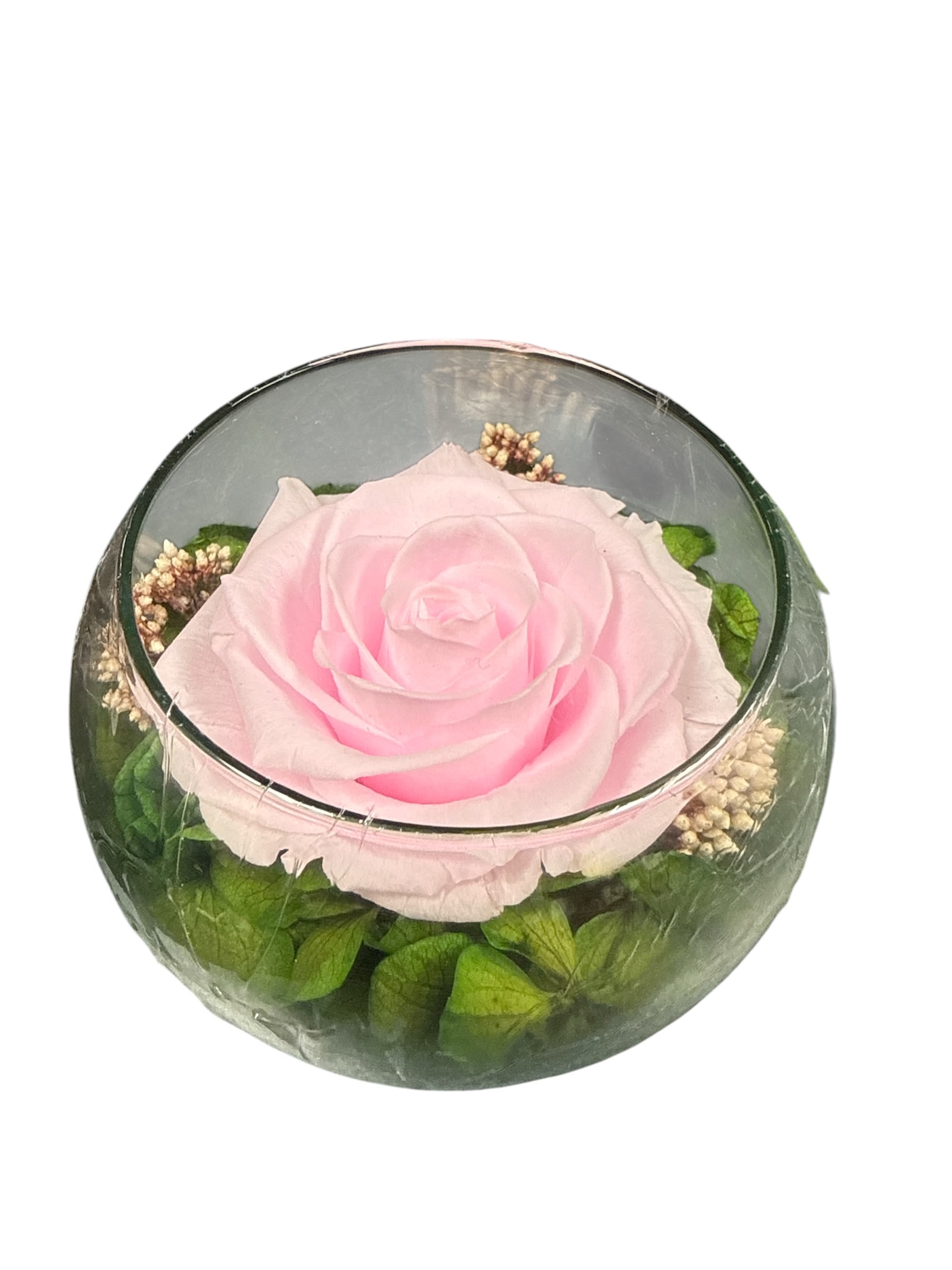 Preserve rose last Forever 14 - A single pale pink preserved rose sits perfectly centered in a clear round glass bowl - a delicate, long-lasting gift for an anniversary, everyday gifting, or a quiet, thoughtful gesture. This preserved rose arrangement for anniversaries and intimate moments feels both romantic and modern; the soft pink bloom reads as timeless while the compact presentation keeps the focus on the recipient.