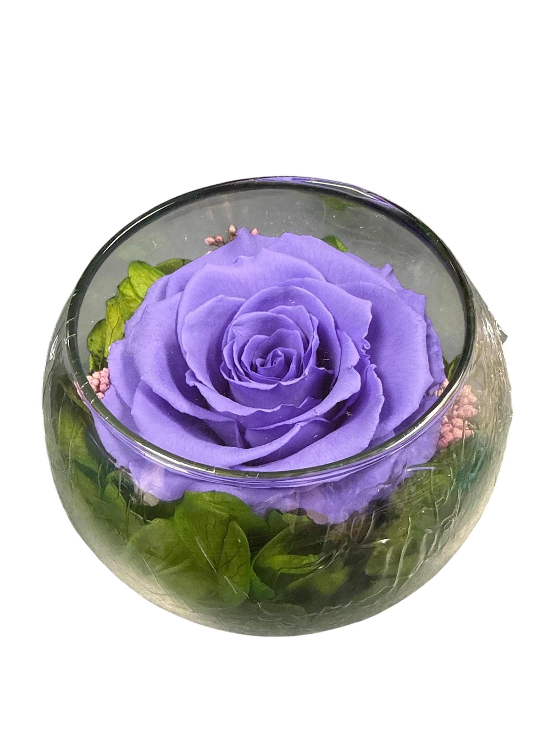 Preserve purple rose last forever 131 - A single, richly saturated purple rose takes center stage in this preserved flower arrangement-perfect as a romantic birthday bouquet, an anniversary rose gift, or a thoughtful way to say "I'm thinking of you." The dramatic purple bloom paired with fresh green foliage creates an intimate, elegant presentation that reads modern and meaningful for someone you want to make feel truly seen.  Arranged compactly in a clear round glass vase, the preserved rose and surrounding accents are styled to look fresh and garden-like while remaining neatly contained-ideal for a bedside table, desk, or mantel. The clean glass keeps the focus on the velvety purple petals and soft pink touches, giving the recipient a long-lasting keepsake that conveys love, appreciation, or quiet celebration.