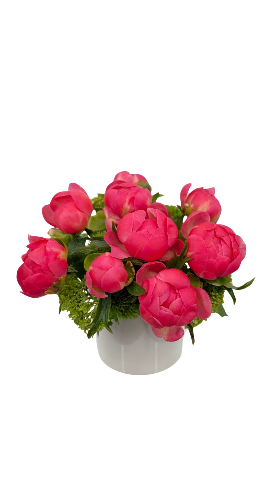 Penny - Built in a lovely white vase with blue accents. Penny hits every mark. Penny is a breath of fresh air in world of go, go, go energy. The fullness and and sense of ease that Penny gives off is sure to bring joy and happiness to all whom enjoy it.   *Peony color subject to availability 