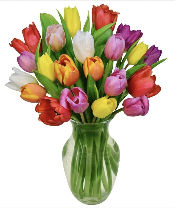 Colorful tulips arranged in a clear glass vase