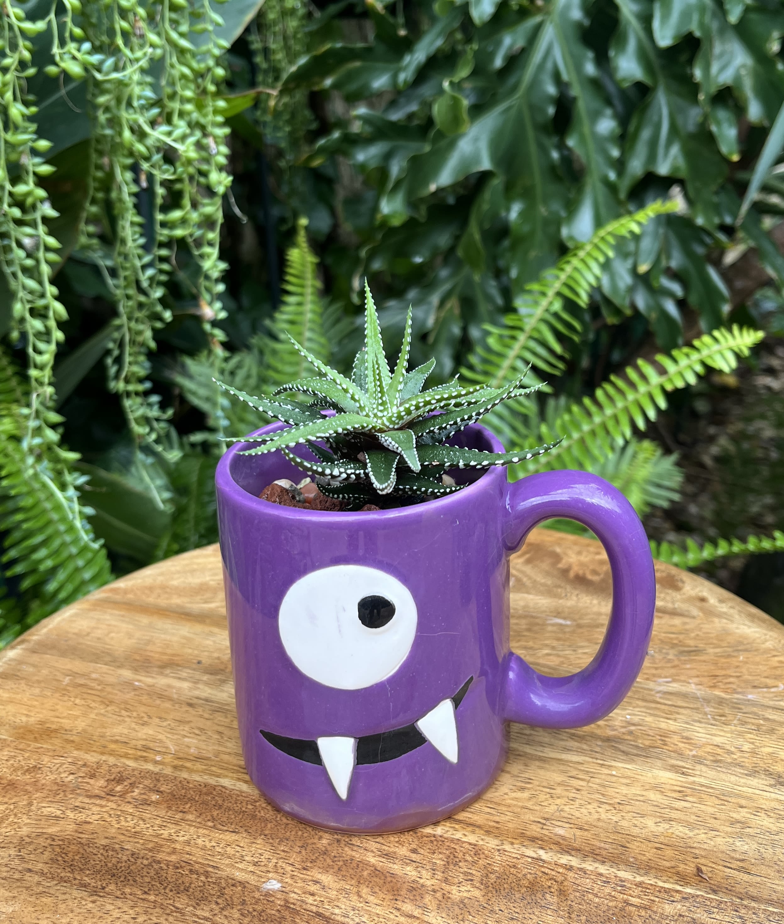 Small succulent in a purple monster-face mug planter