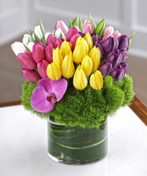 Colorful tulip arrangement in a glass vase with a purple orchid accent