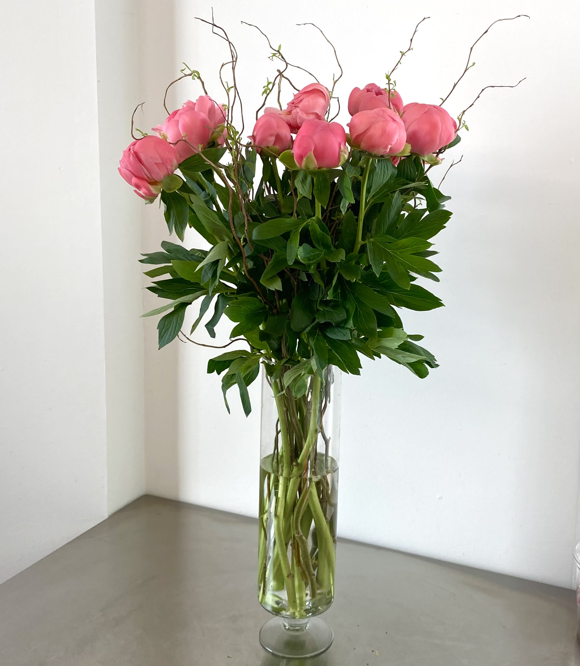 Large coral peonies in a tall vase - 32” tall arrangement with coral peonies and curly willow in  footed  vase