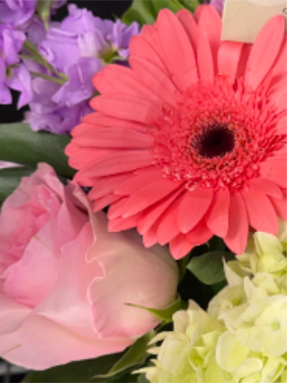 Close-up bouquet with a coral gerbera daisy, pink rose, purple blooms, and pale hydrangea