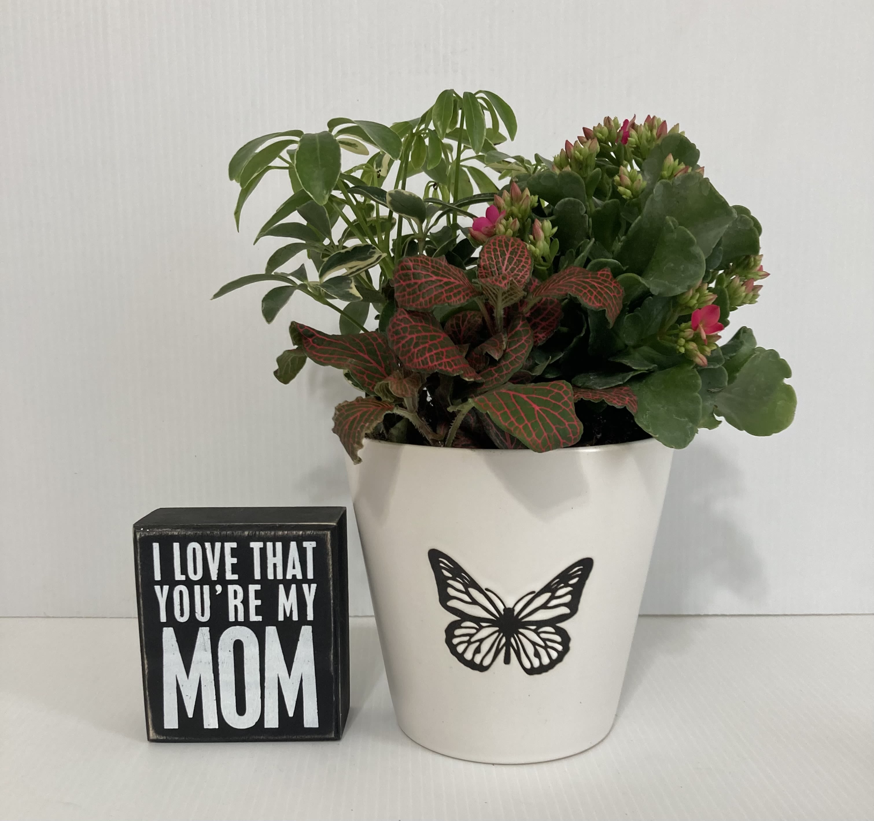 Love You Mom - Beautiful Butterfly Ceramic pot with flowering plant and Mom sign 