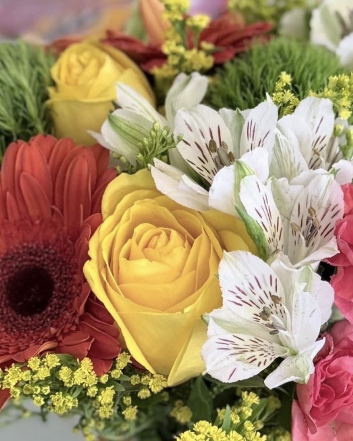 Designers choice - Choose your budget and let our florist create a stunning, custom design with fresh seasonal flowers.