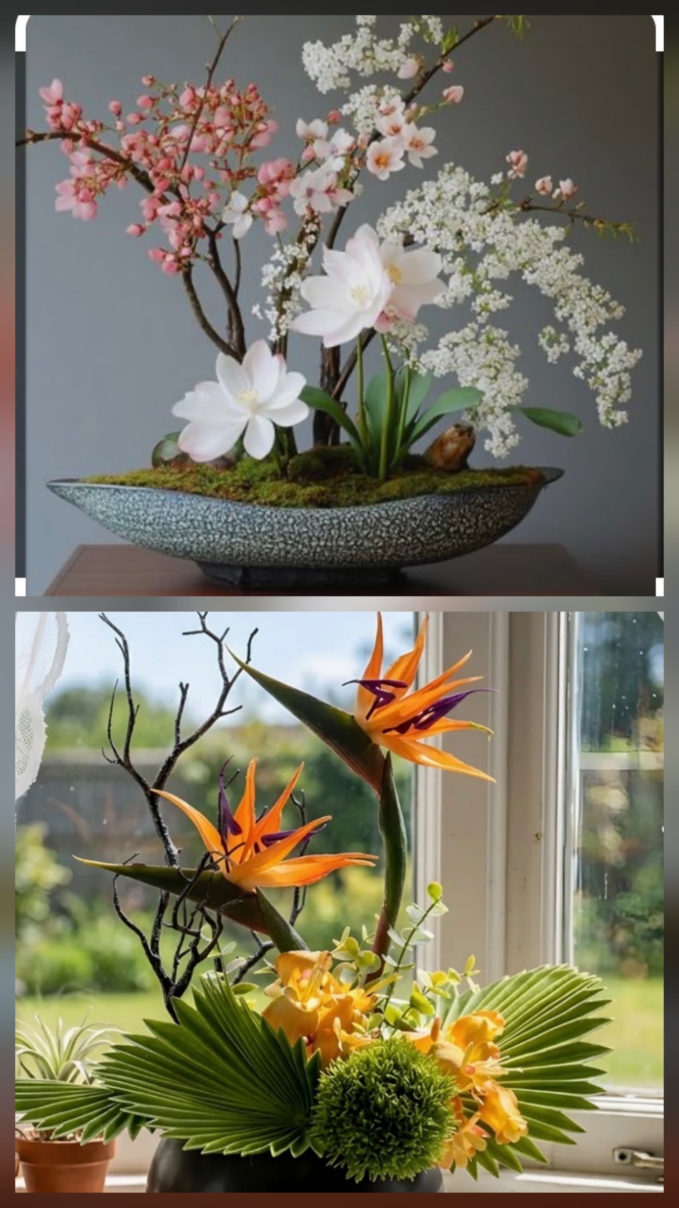 Designer's Choice Ikebana Arrangement  - A contemporary take on floral gift-giving, this Designer's Choice Ikebana arrangement brings artful balance to any room - perfect as a birthday bouquet, anniversary arrangement, or a thoughtful "thinking of you" gift. The design emphasizes sculptural lines and seasonal contrasts so the person you're sending it to feels noticed: one style is soft and serene for a calm, intimate impression, while the bolder version makes a vivid, exotic statement.  Arrangements feature mixed-color blooms with white and pink branching blossoms in a low ceramic bowl set over moss and decorative branches for an airy, delicate silhouette, or bright orange tropical flowers and orchids paired with purple accents and broad, fan-like leaves in a dark, black vase for a striking, architectural look. Each composition uses quality hard goods - ceramic bowls or black vases, moss, and accent branches - to hold the floral form and create lasting visual impact.  Choose the softer design to soothe and celebrate quiet moments, or the vivid tropical version to surprise and energize someone who loves bold color and texture. Sizes and exact flower varieties will reflect seasonal availability as these are designer's choice arrangements crafted to highlight freshness and composition.