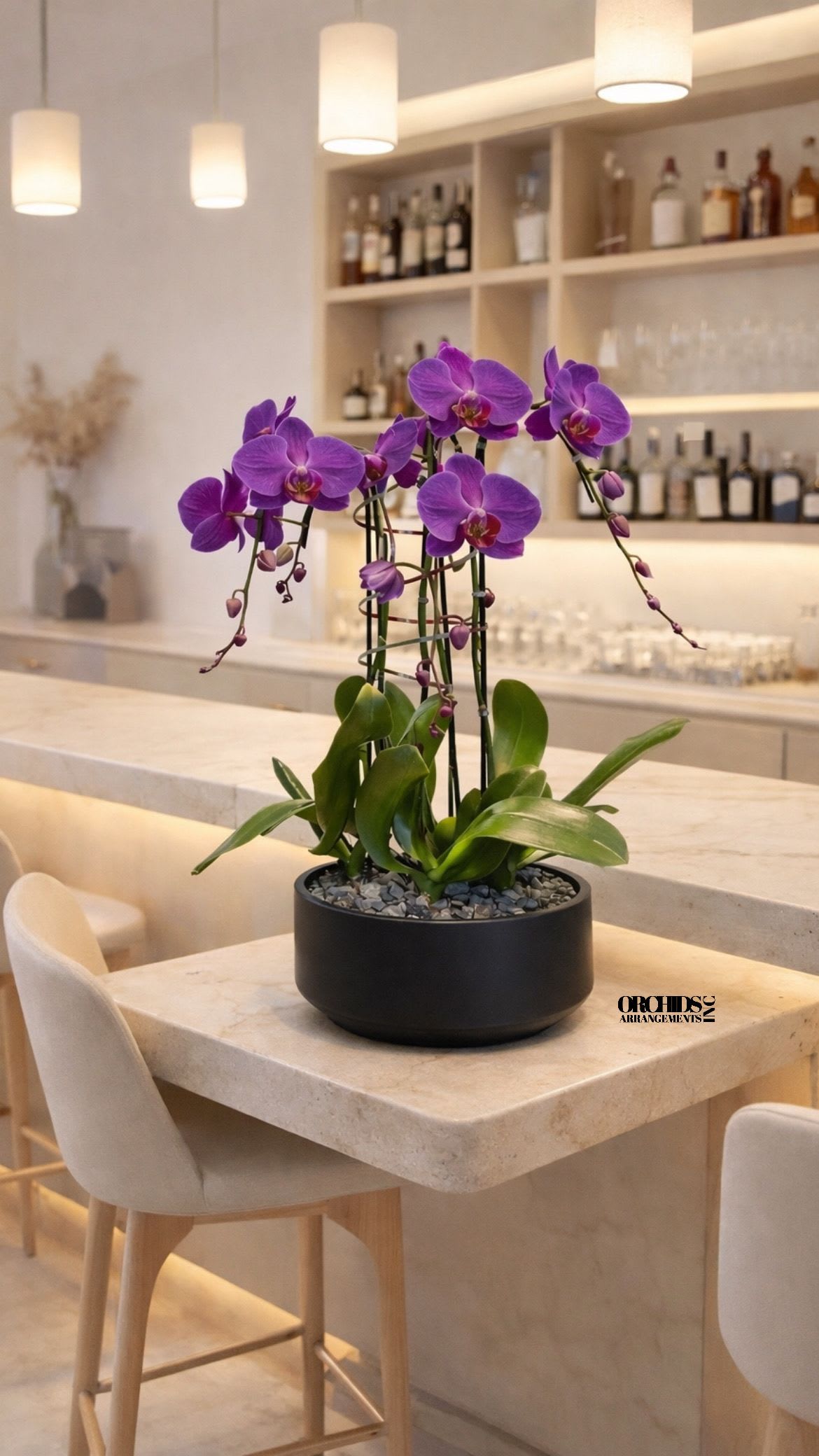 Purple orchids in a black bowl planter on a table