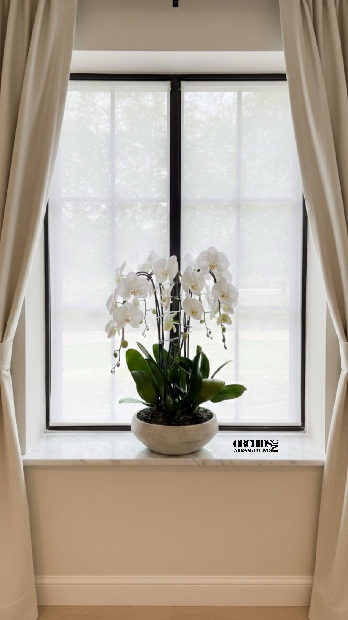 White orchid plant in a shallow beige pot on a windowsill