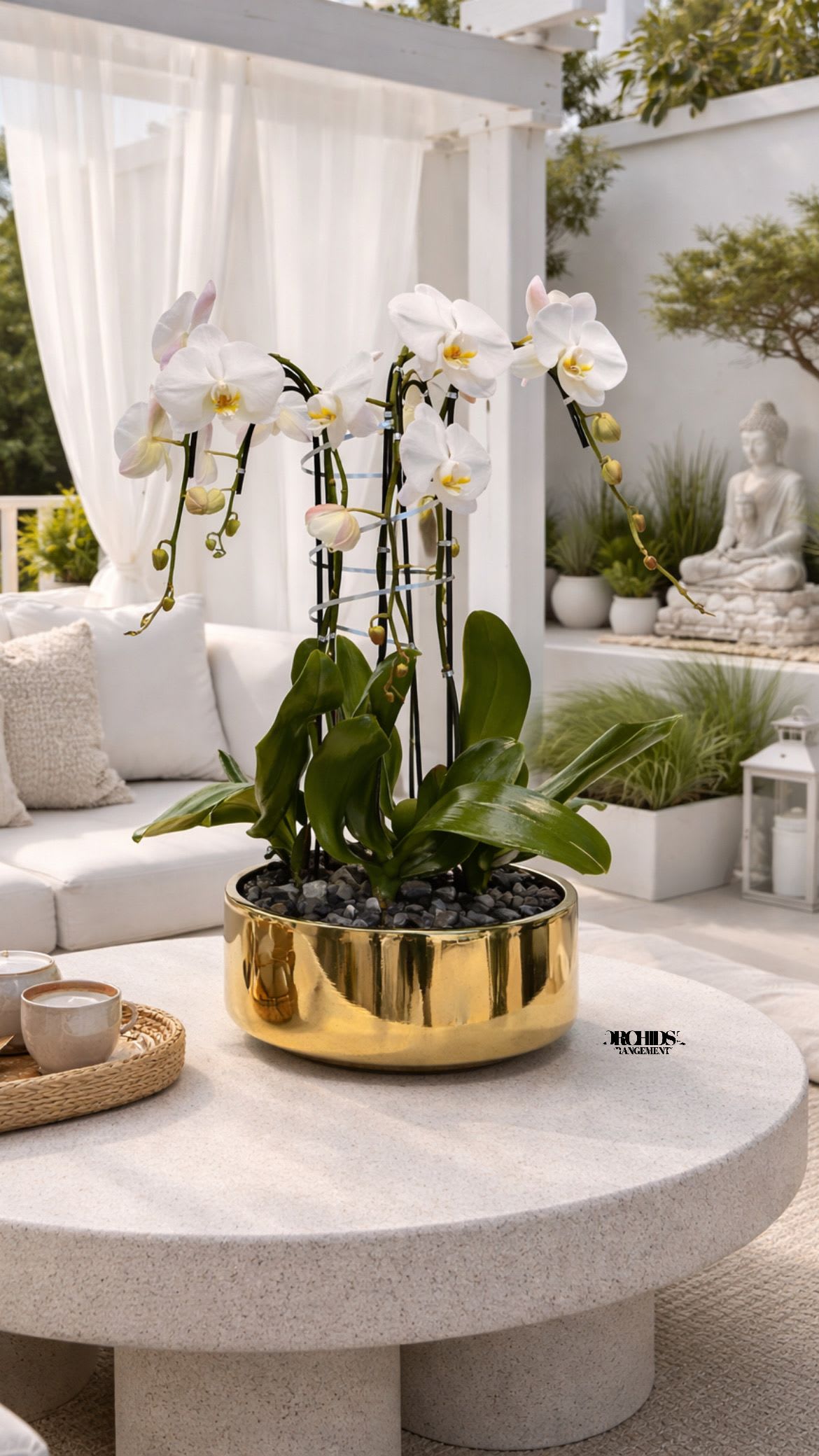 White orchids in a gold planter on a round table