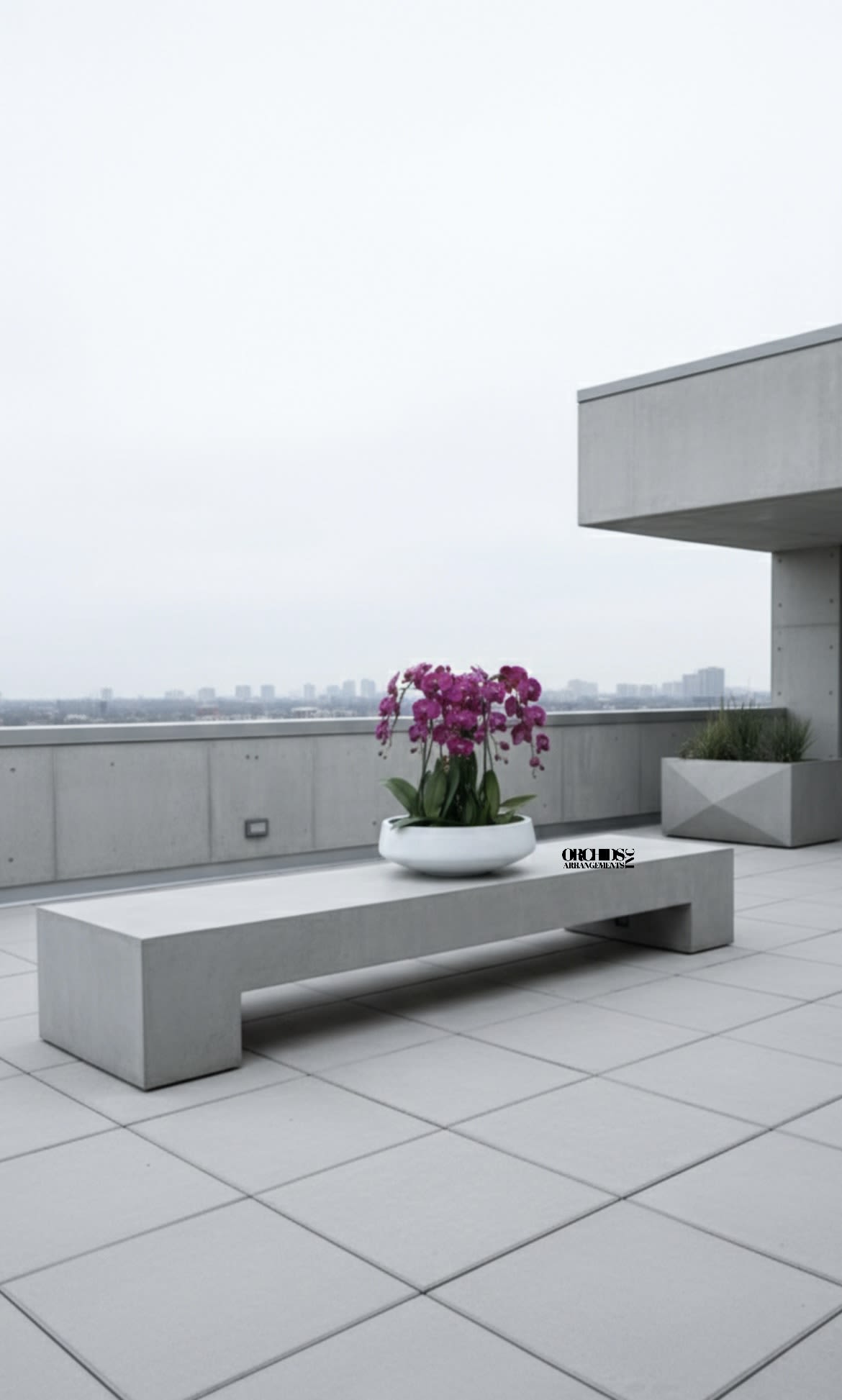 Pink orchids in a white bowl on a concrete bench