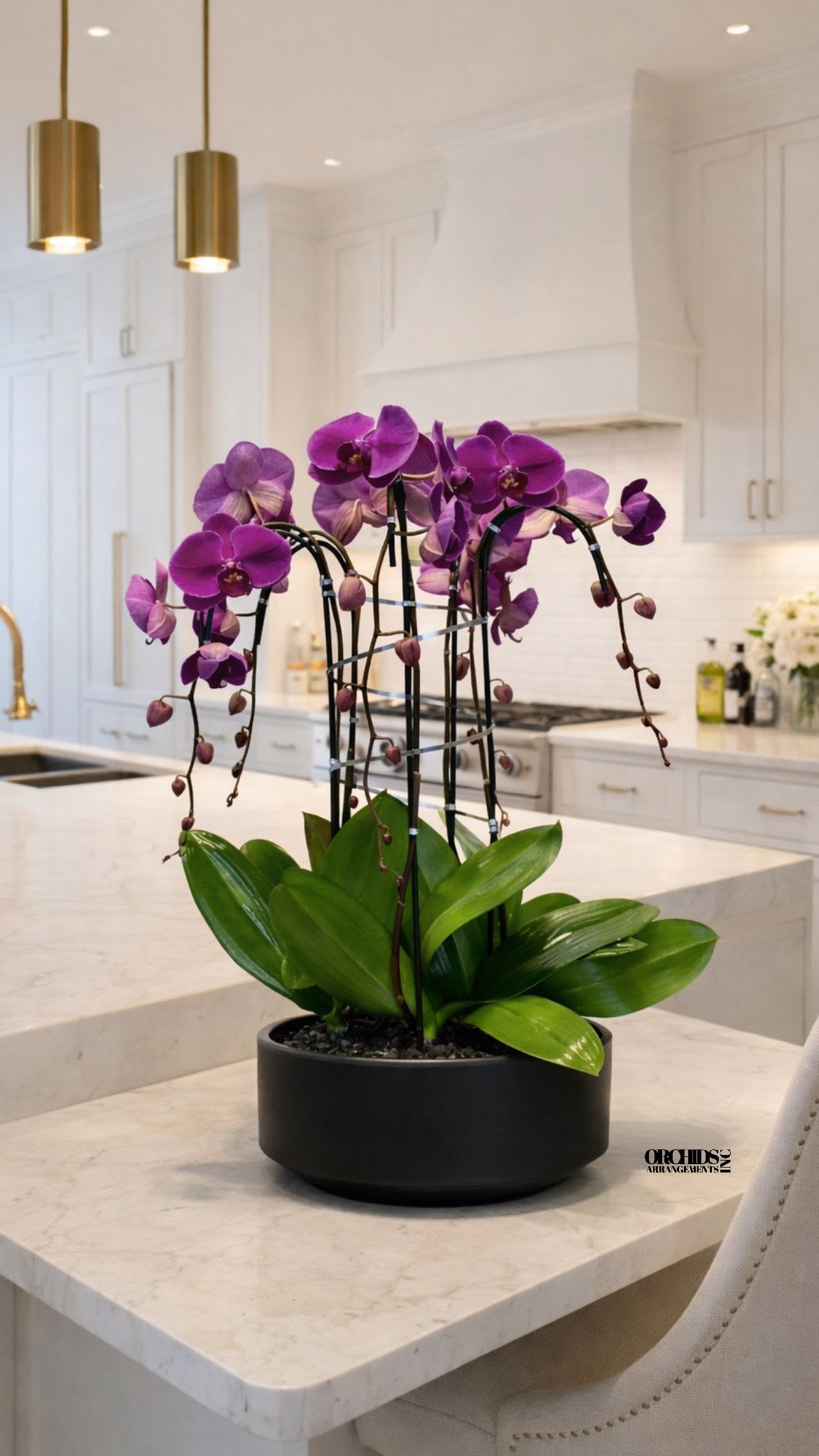 Purple orchids in a black pot on a kitchen island