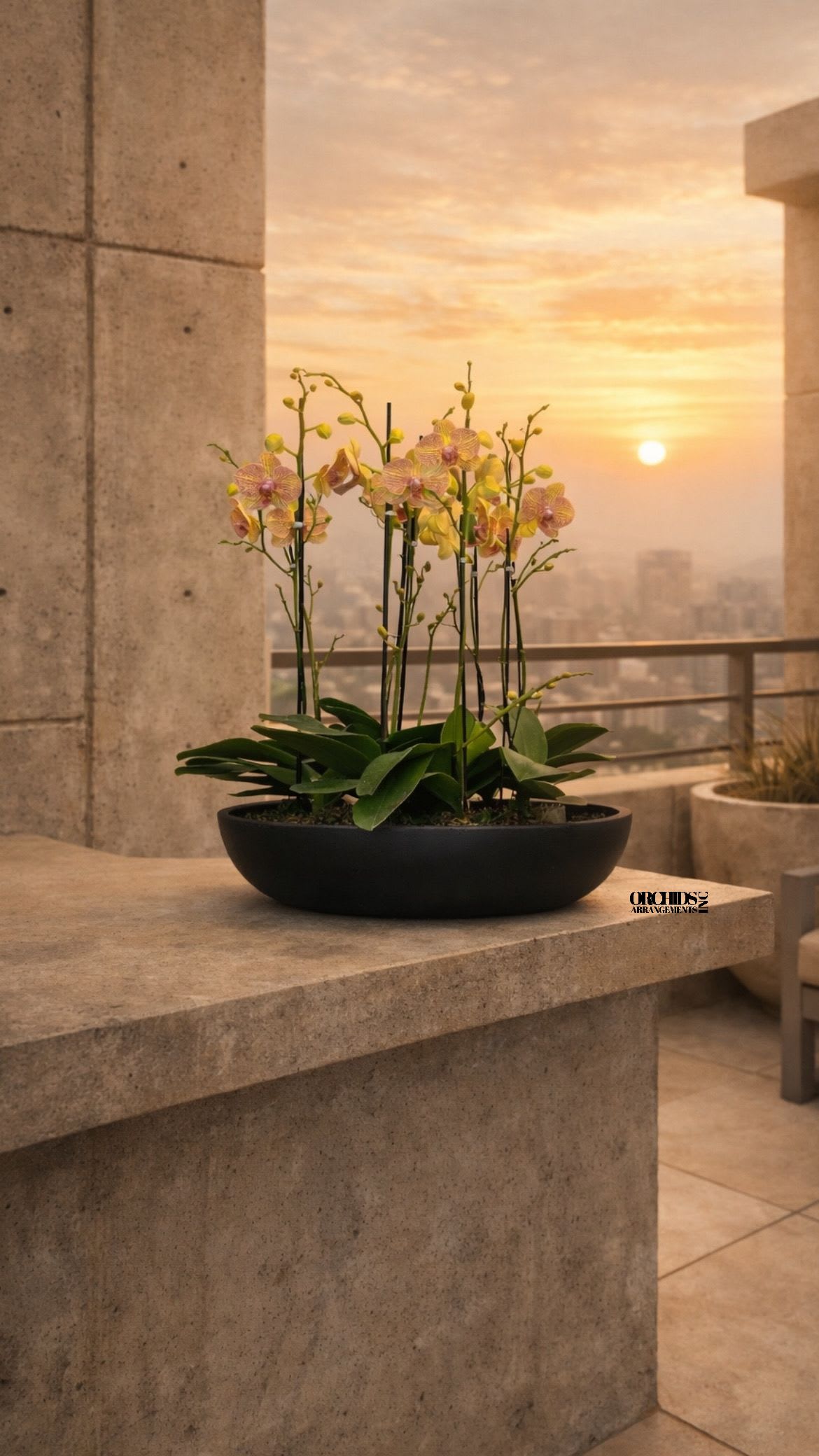 Potted orchid arrangement in a black bowl on a stone ledge at sunset.