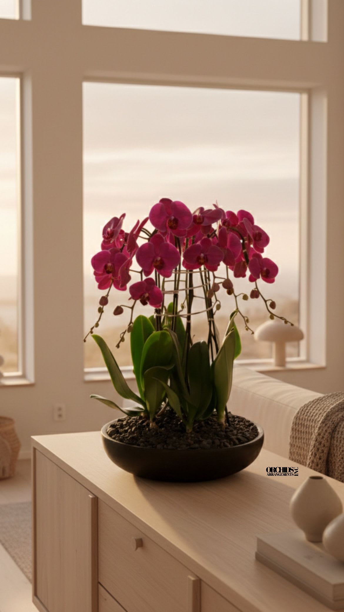 Potted magenta orchids in a shallow black bowl on a table